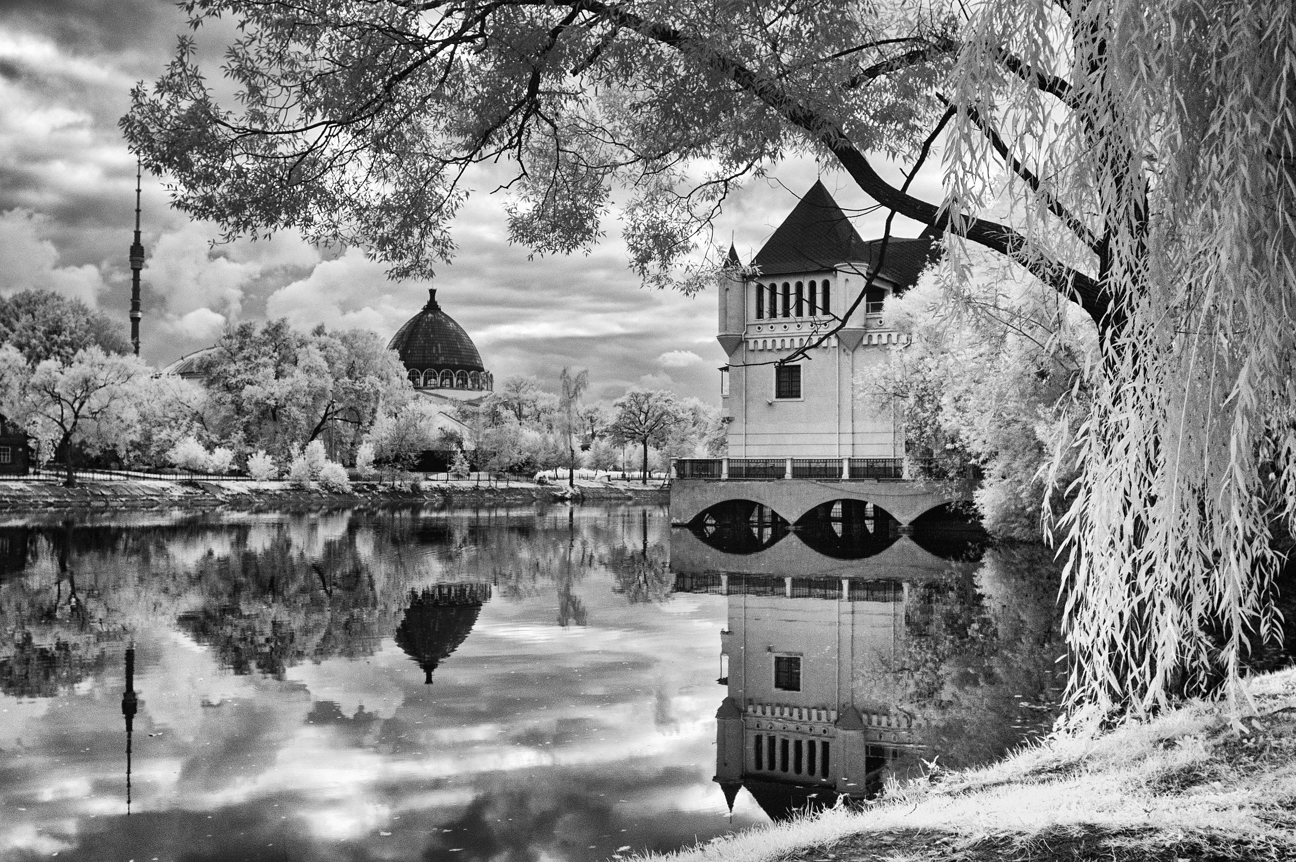 Infrared Photography. Solofilms