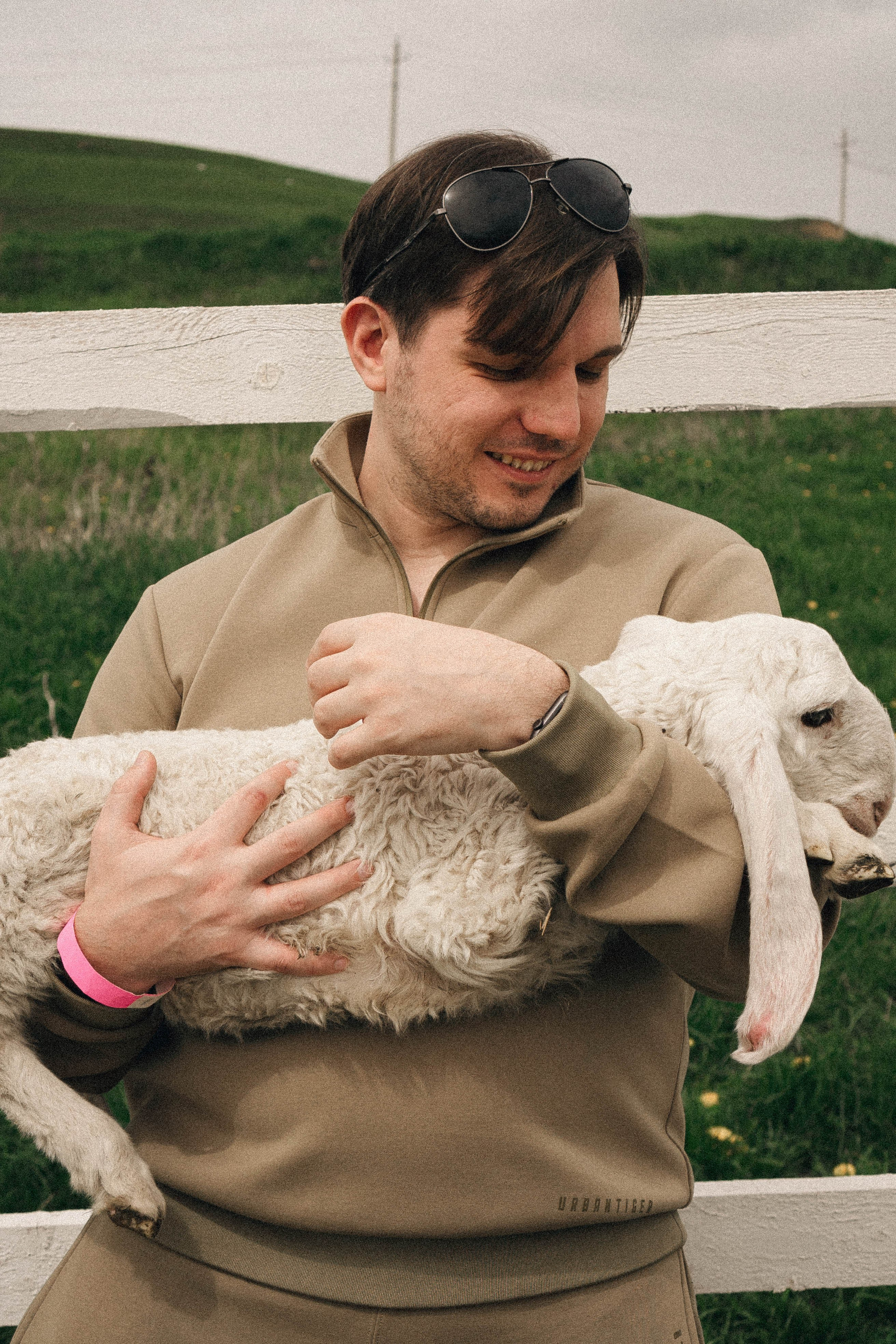 Ферма Альпак. Профессиональный фотограф, Санкт-Петербург — Виктория Богомолова