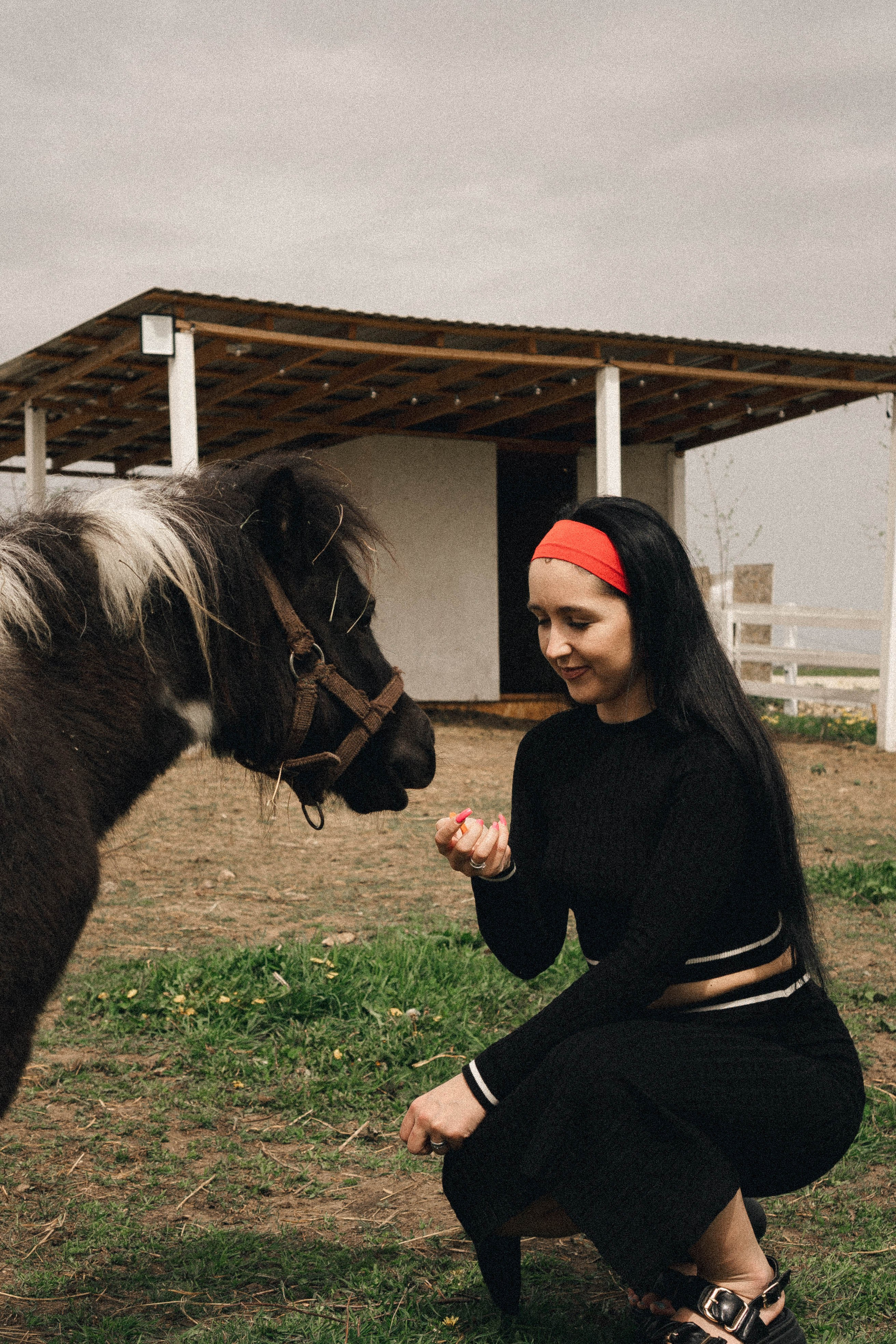 Ферма Альпак. Профессиональный фотограф, Санкт-Петербург — Виктория Богомолова