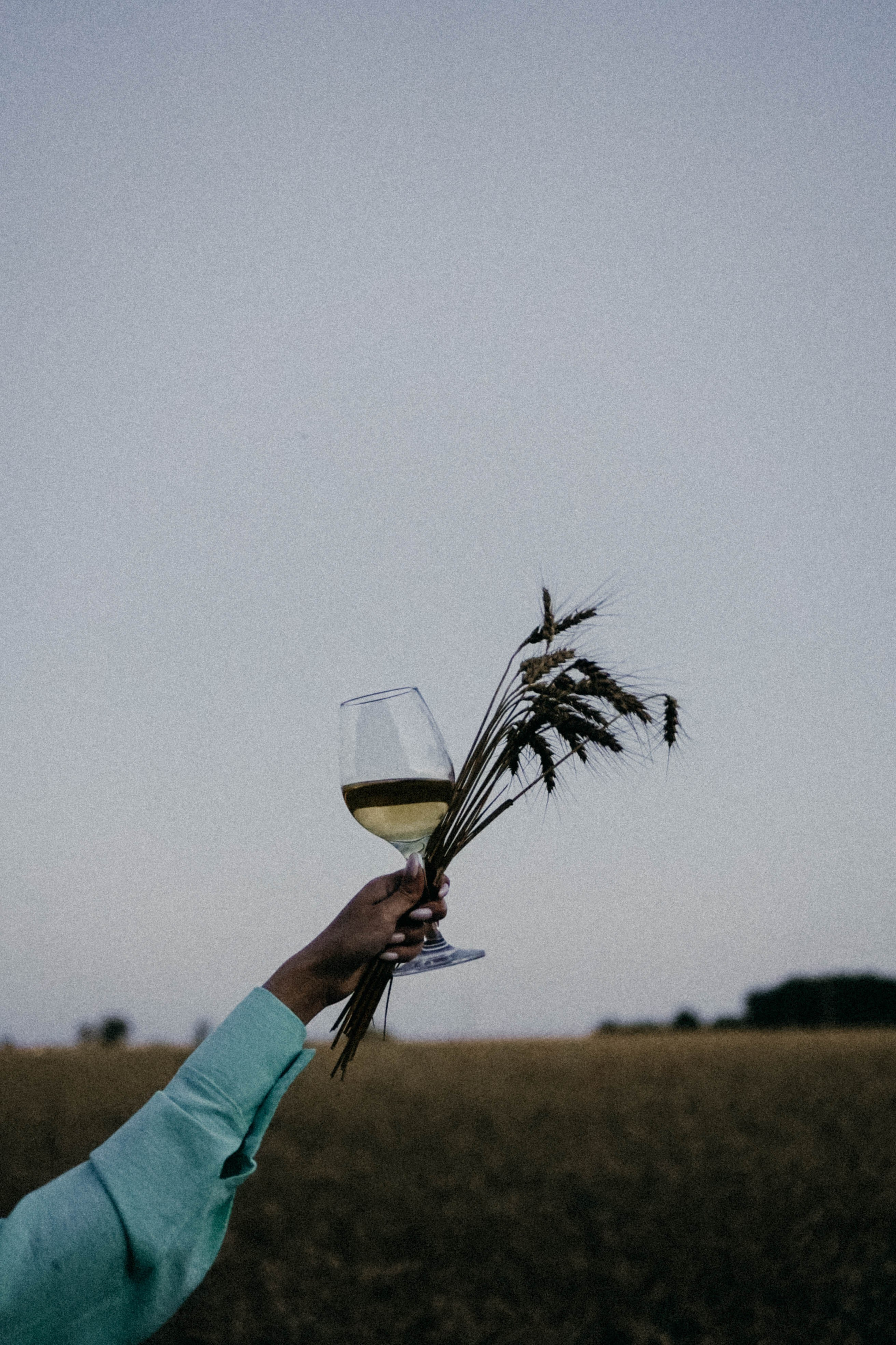 Летний вечер. Профессиональный фотограф, Санкт-Петербург — Виктория Богомолова