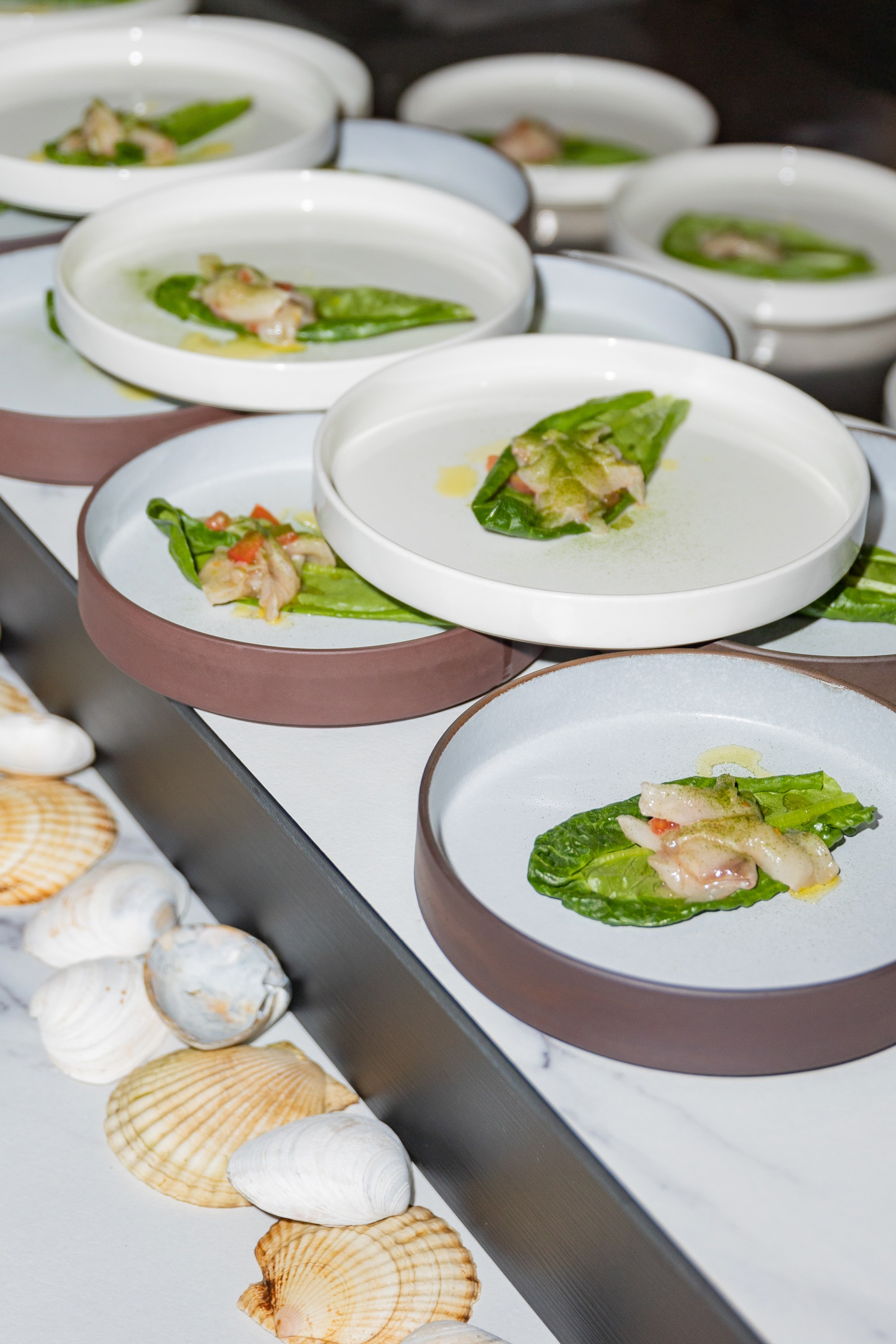 Дигустация вина от магазина Дилан в ресторане Кантина. Выпускные альбомы во Владивостоке