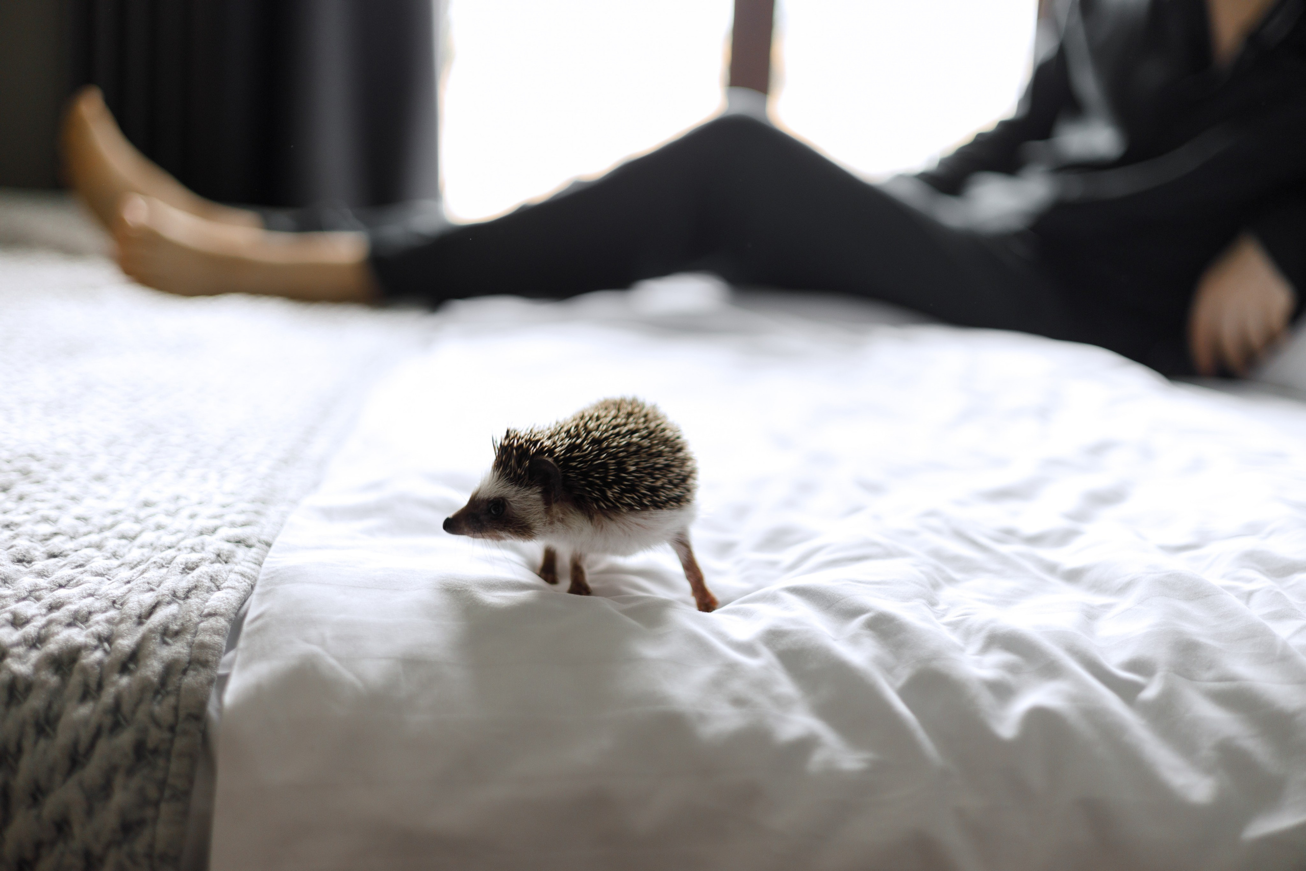 Владимир & Валерия — Санкт-Петербург. Richard and Irene - Destination wedding photographer