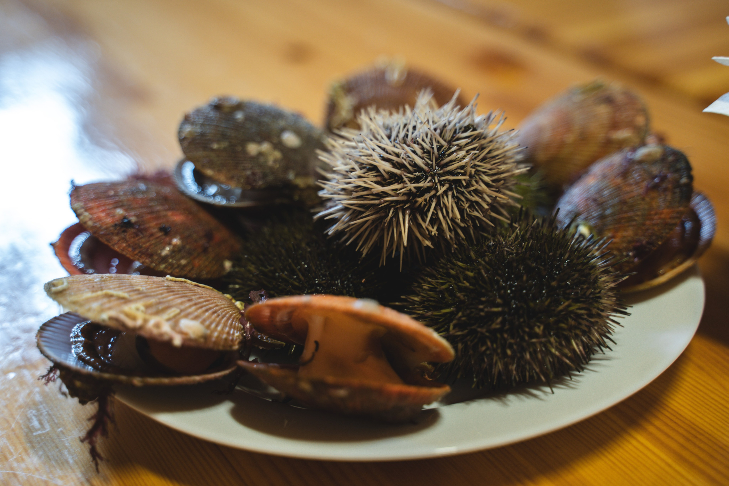 Териберка 2023. Фотограф Ольга Пучкова