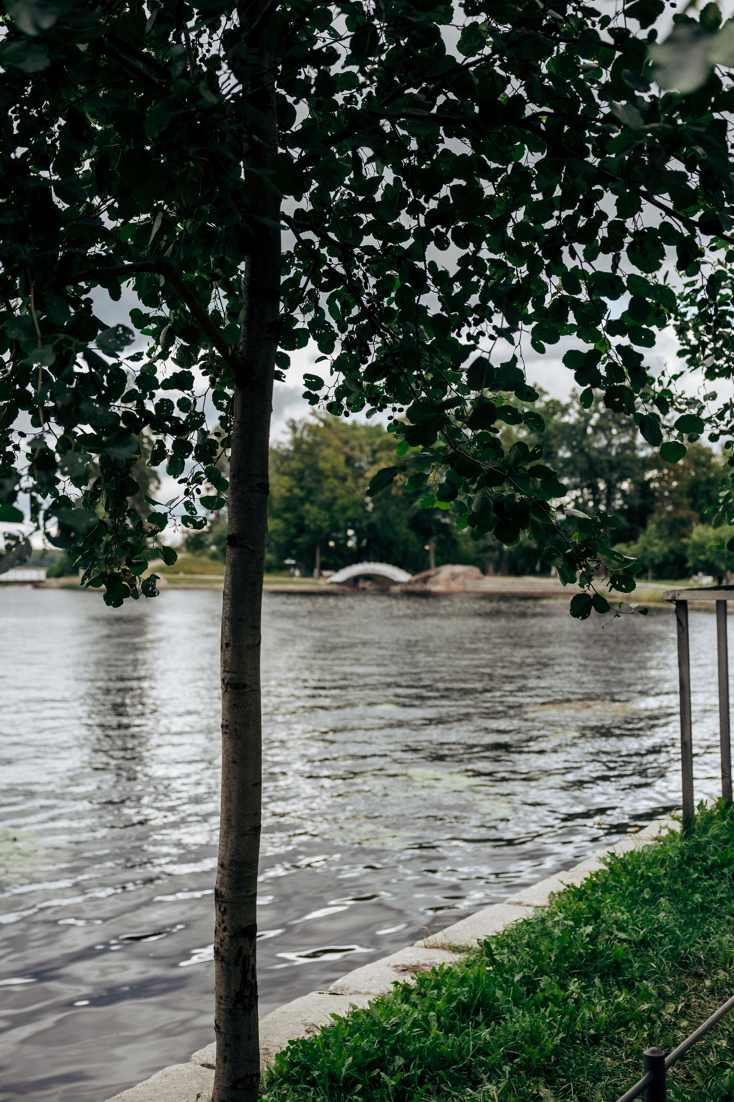 Фотосессия в лесу. Профессиональный фотограф в Санкт-Петербурге Александр Волосенцев