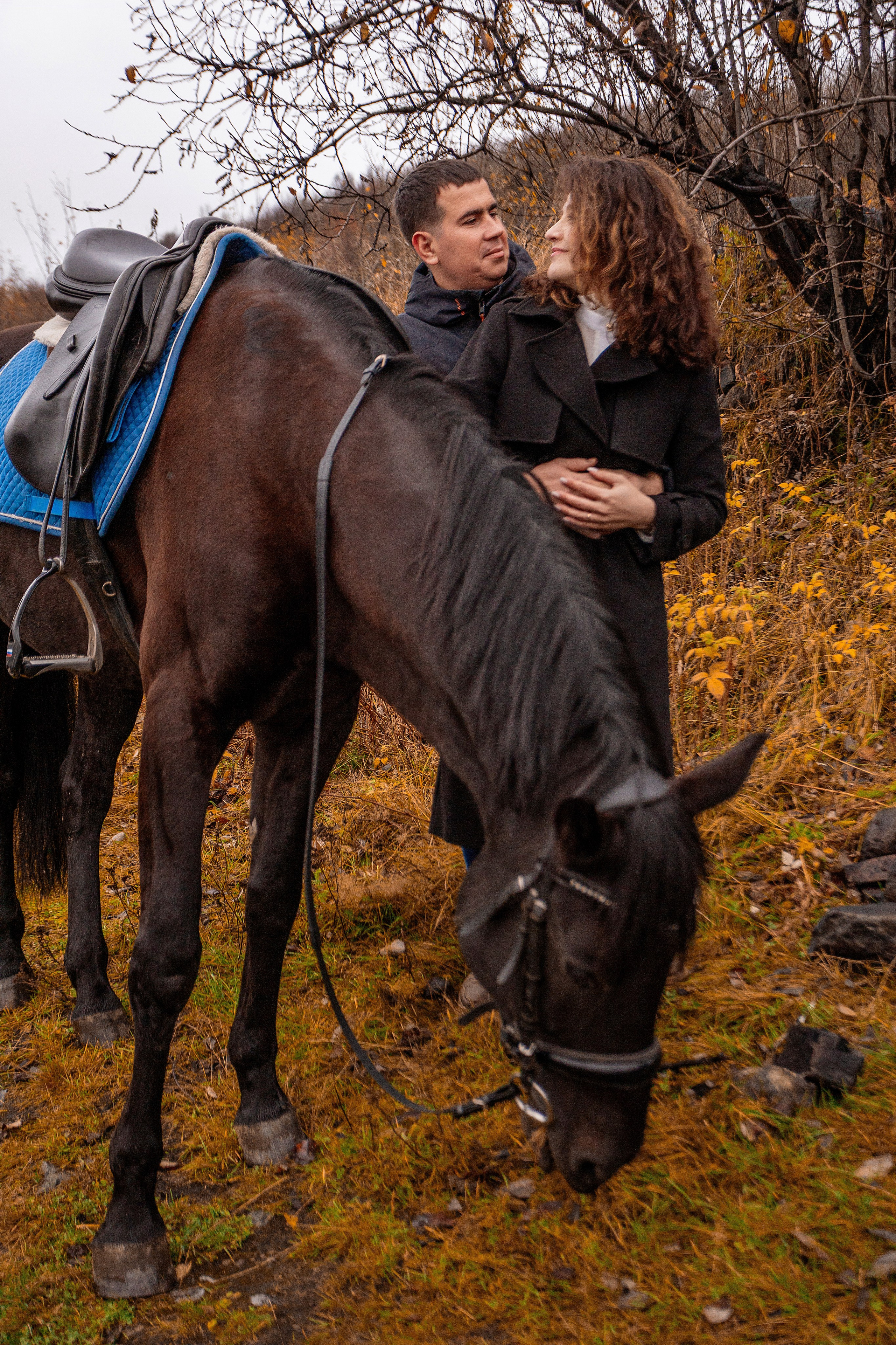 Horses. Фотограф Мурманск Лилия Маер