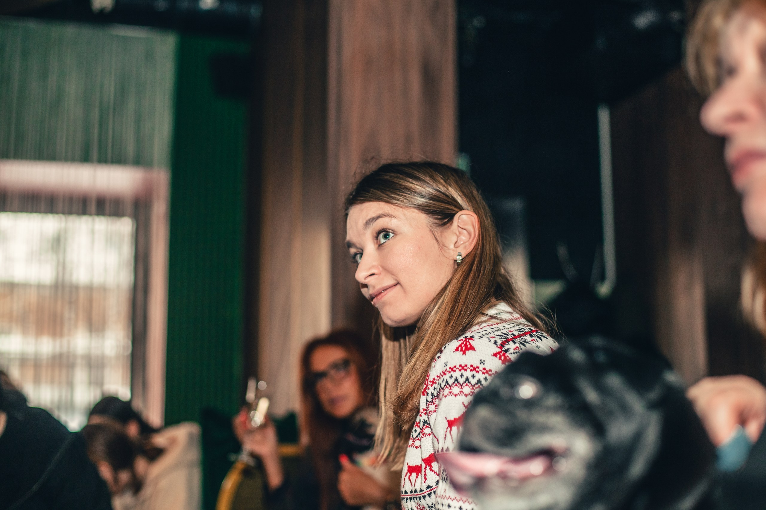 Мопсовстреча 02.12.2023. Фотограф-анималист Татьяна Степанова