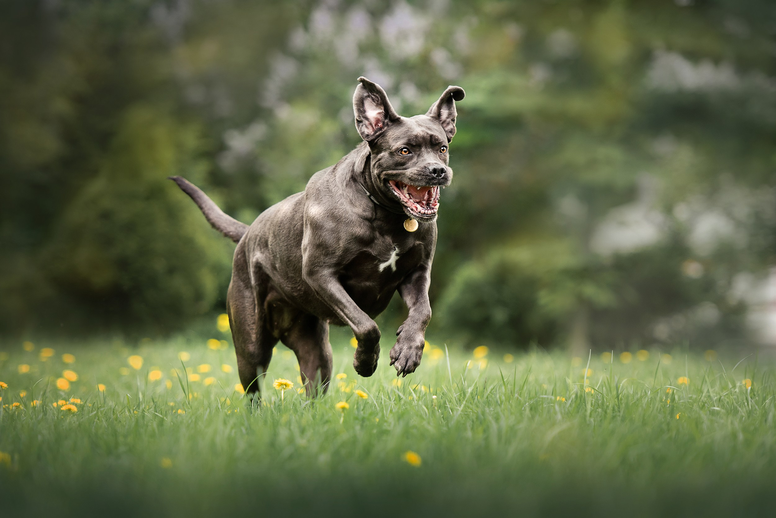 Кристина и Тея. Семейный Фотограф в Москве Ирина Хохлова