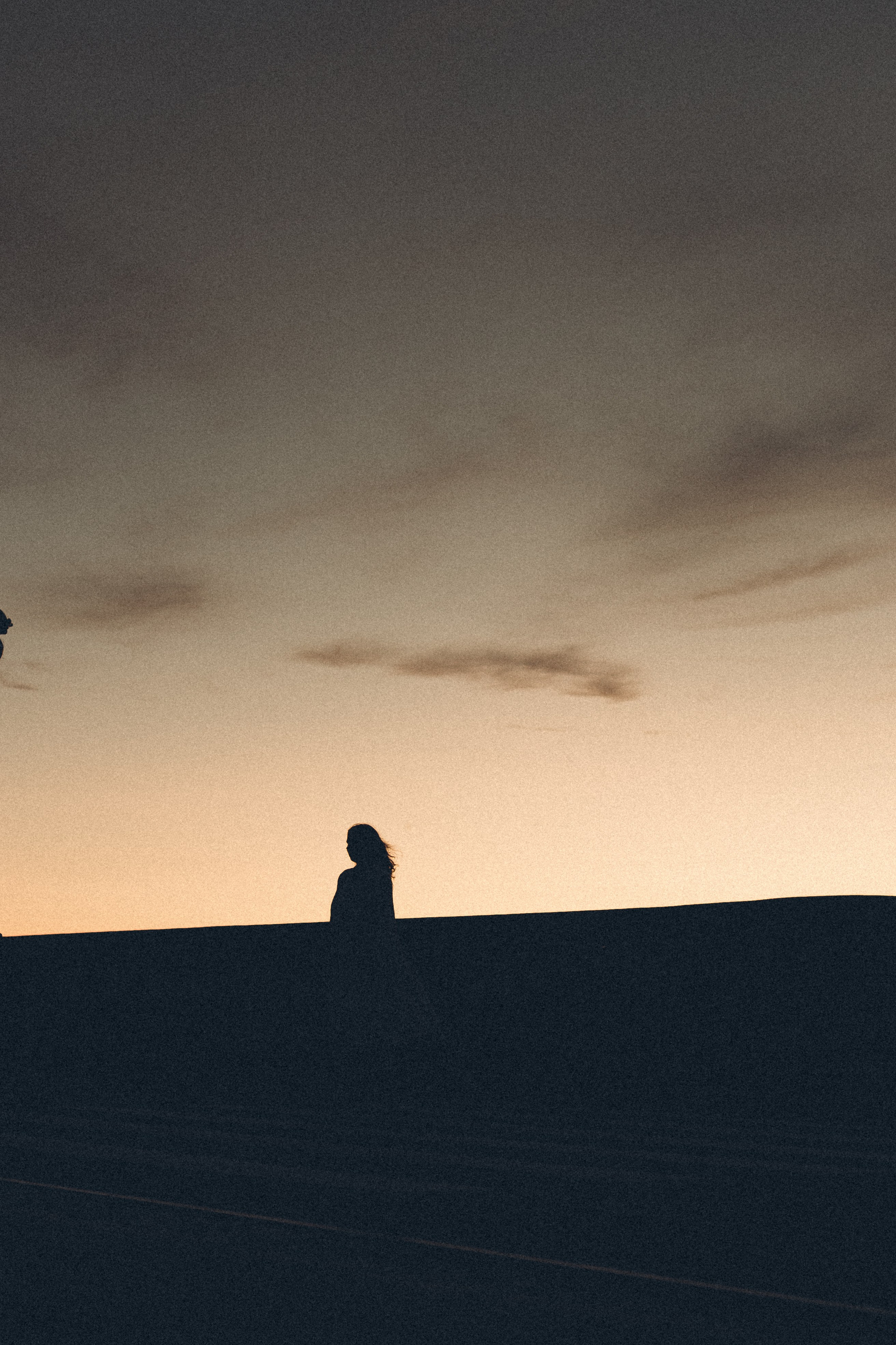 РАССВЕТ С РАЗВОДНЫМИ МОСТАМИ. Профессиональный фотограф, Санкт-Петербург — Виктория Богомолова