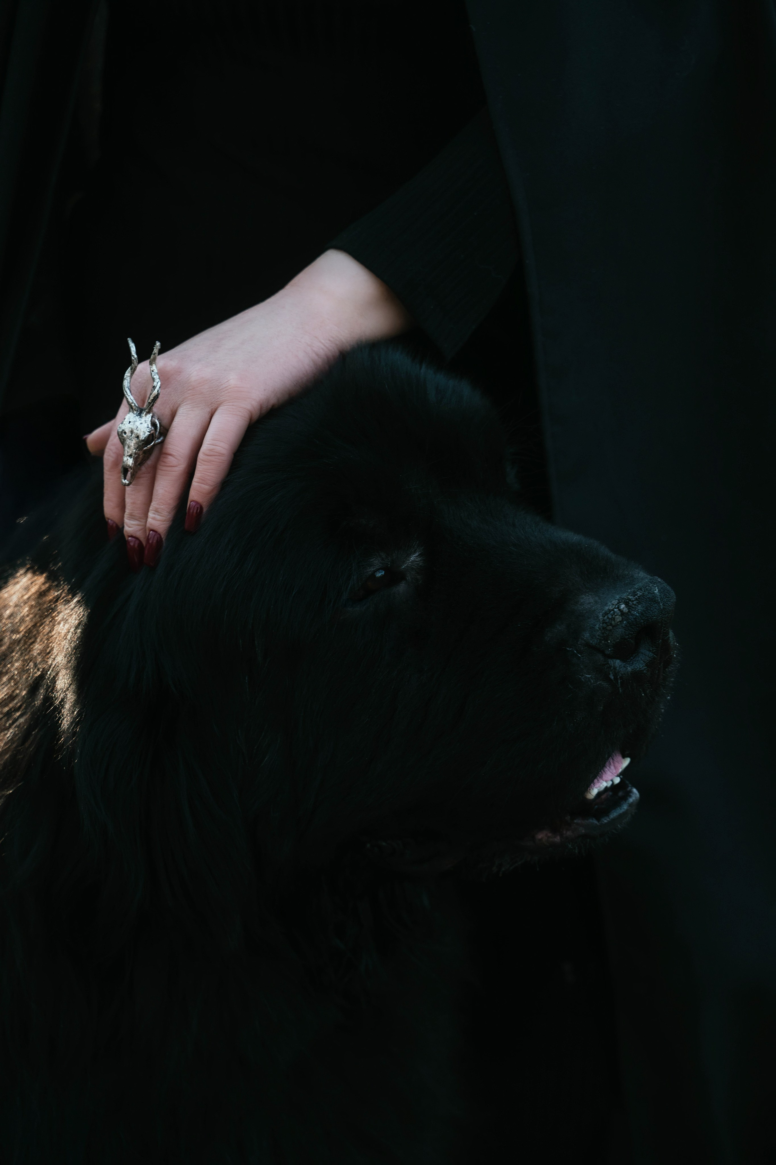 Лена. Свадебный, семейный фотограф в Рязани Лена Брант