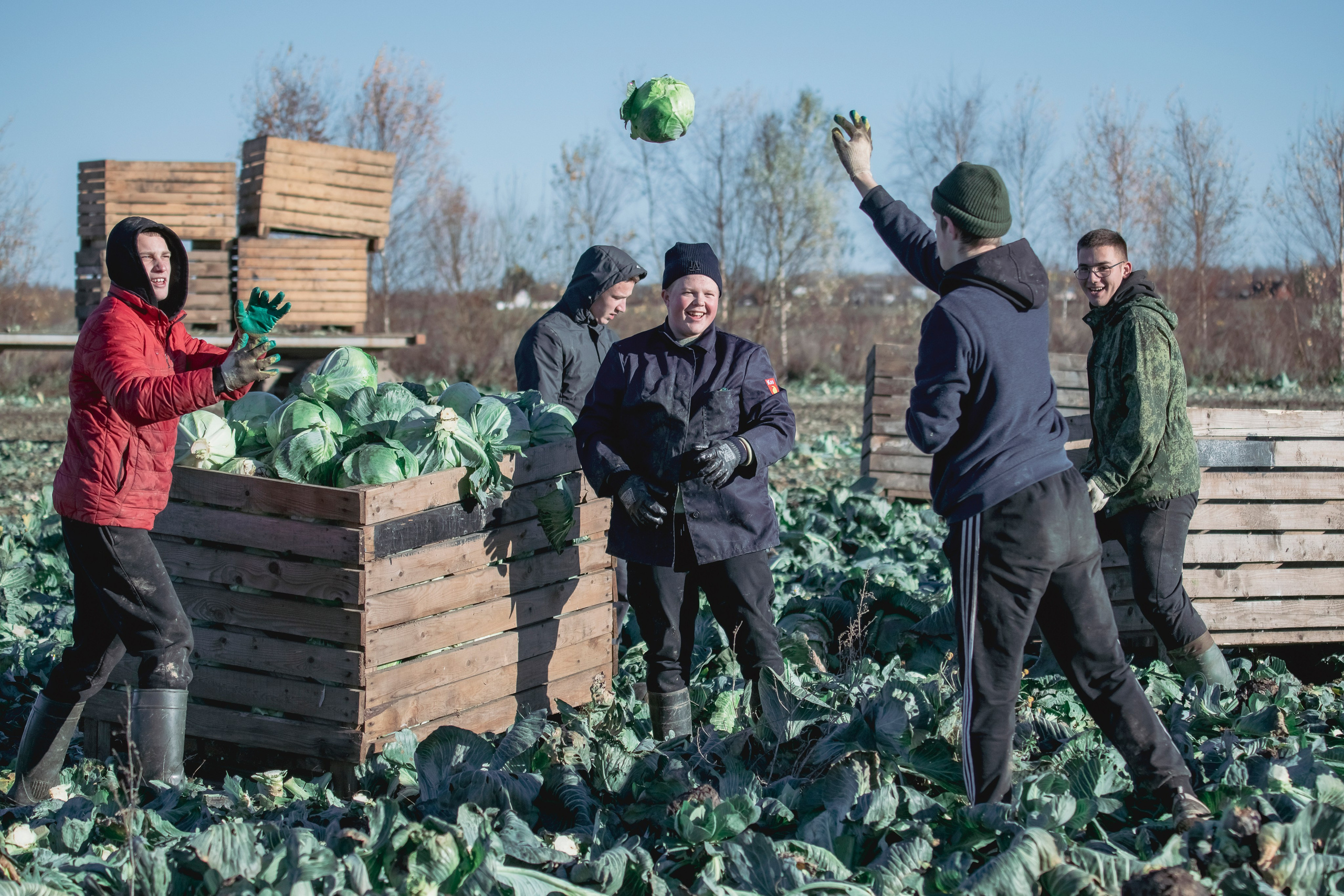Цветные фотографии. Фотографии Лены Соколовой