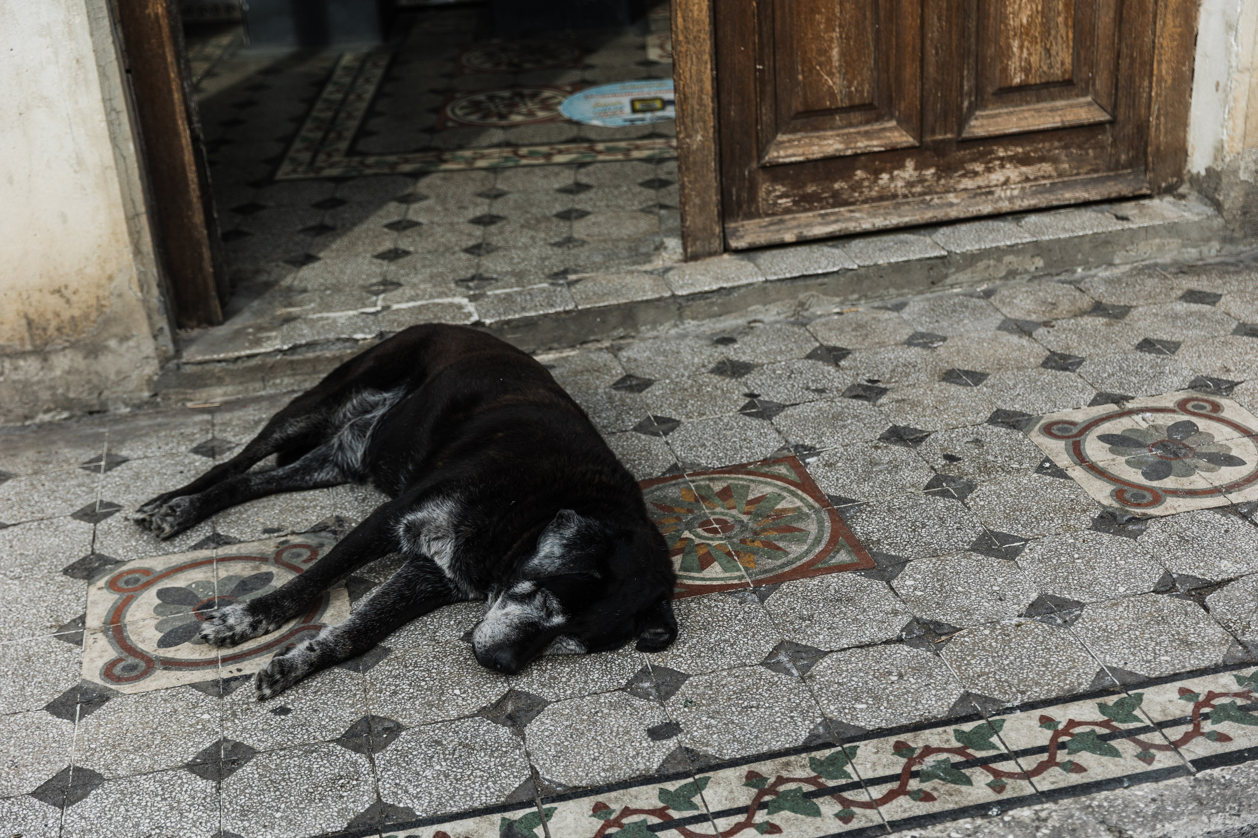 Türkiye. Свадебный и семейный фотограф в Краснодаре Роман Моско