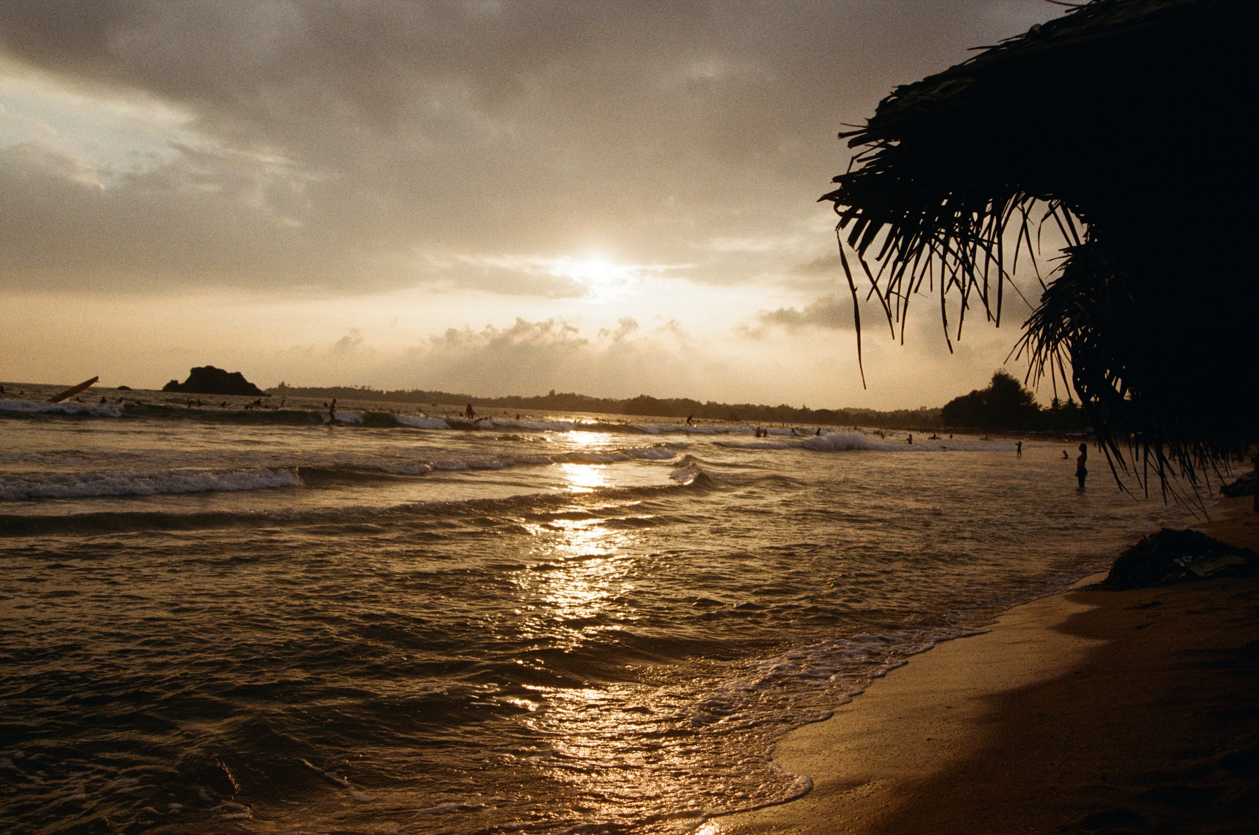 Пленка. Главная