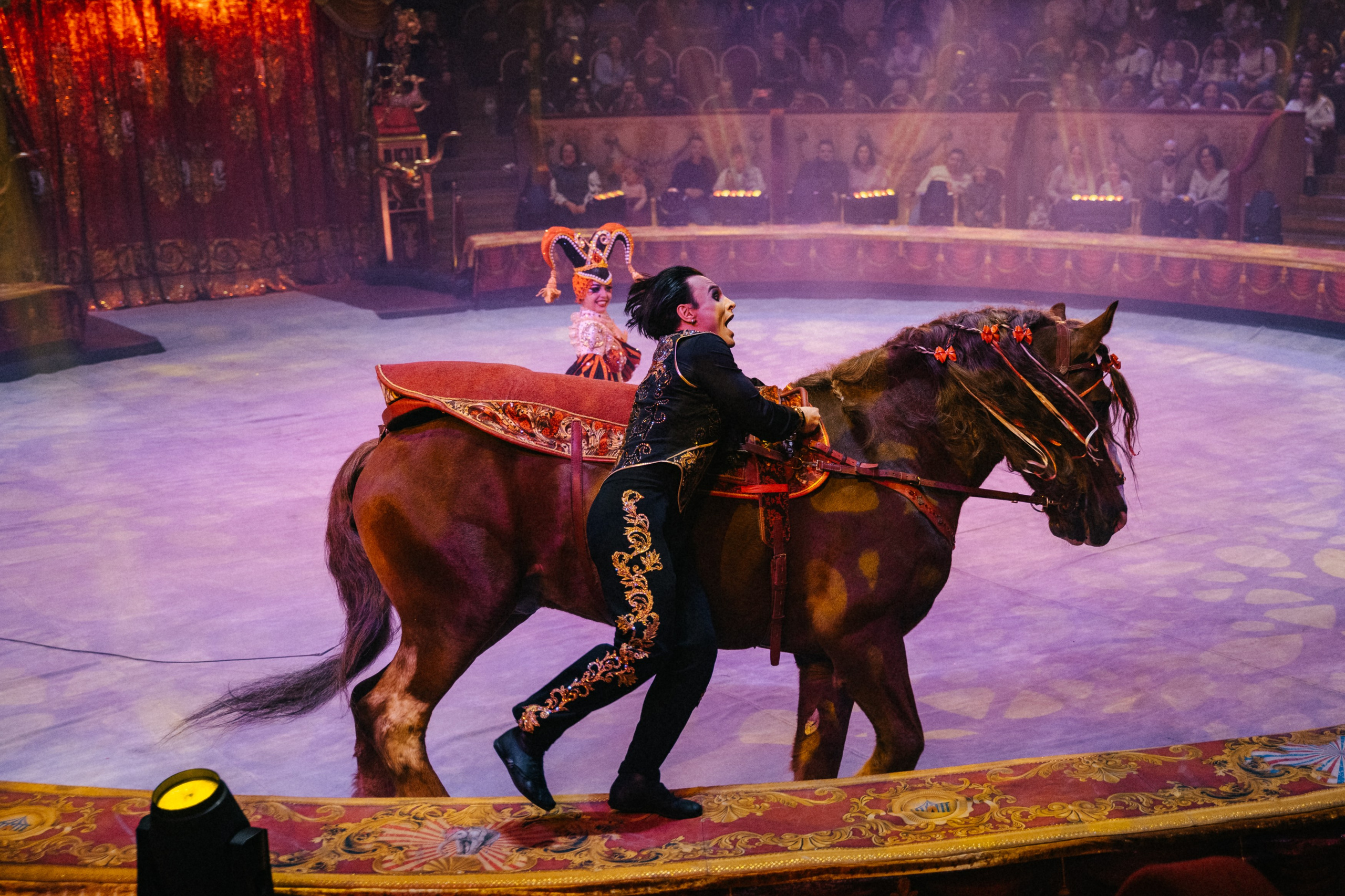 Королевский Цирк Гии Эрадзе. Репортажный и портретный фотограф в Санкт-Петербурге Степлевич Дарья