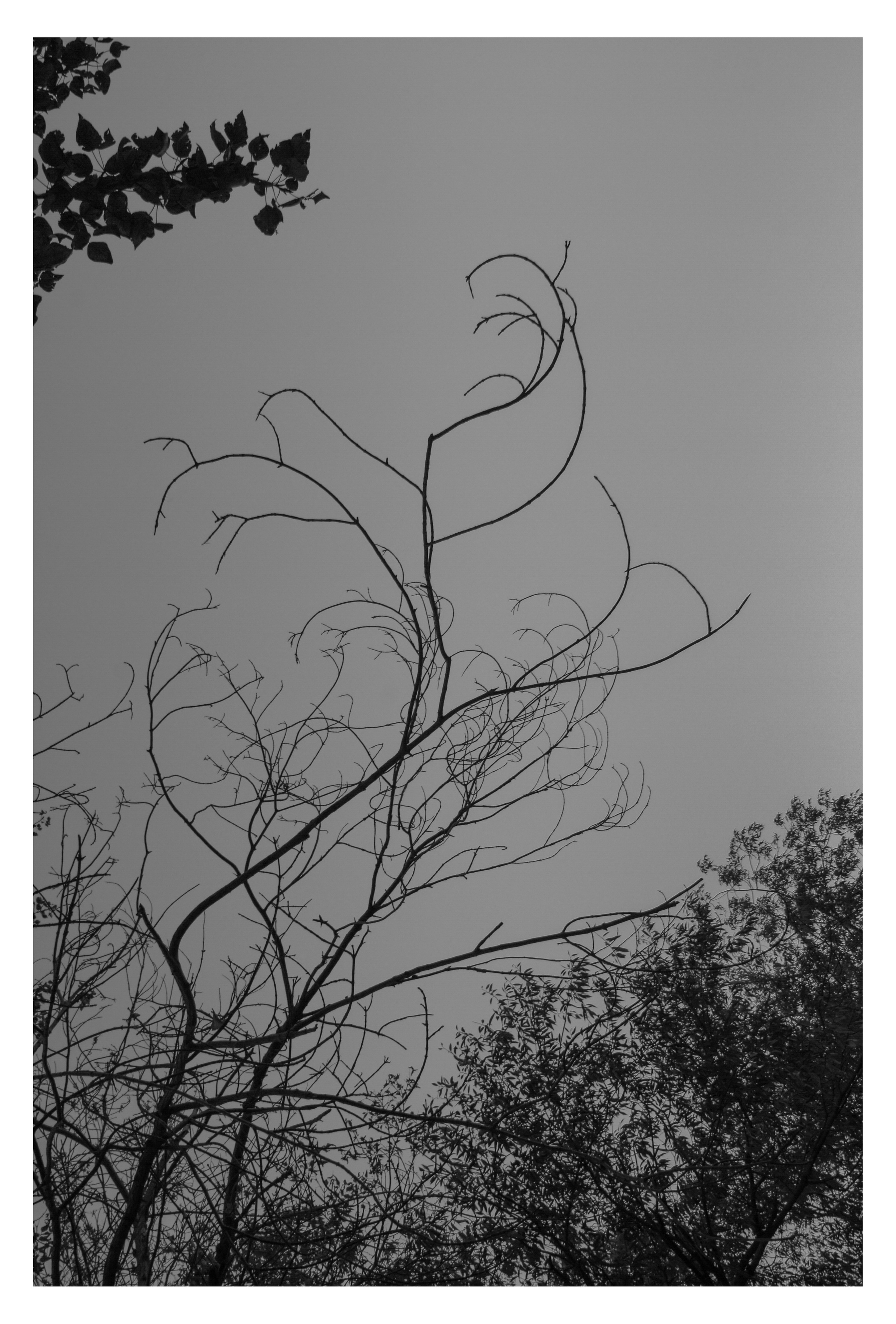 MIASS. Photographer Manakova Olga