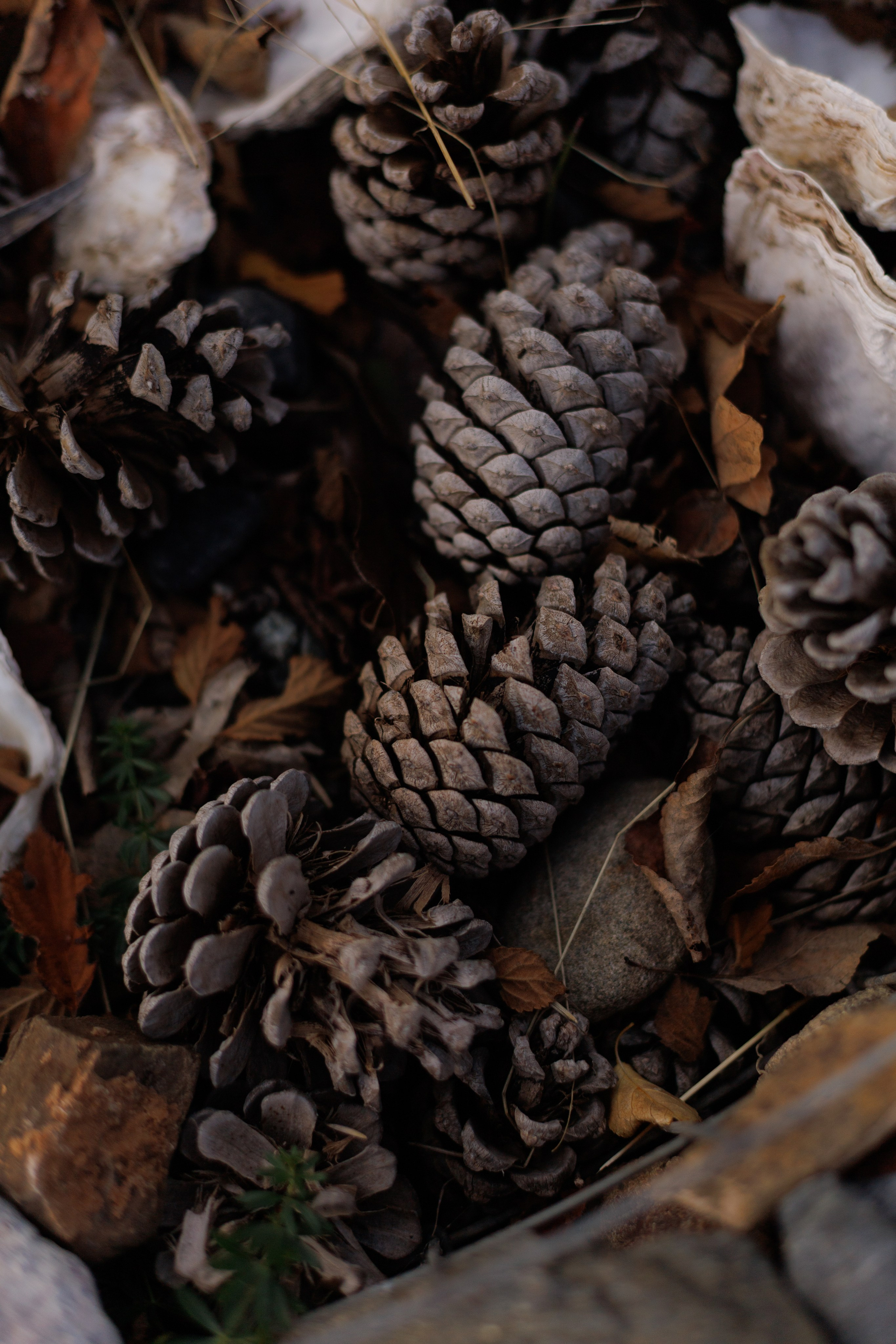С папой вдвоем. Фотограф в Симферополе Мария Назарова