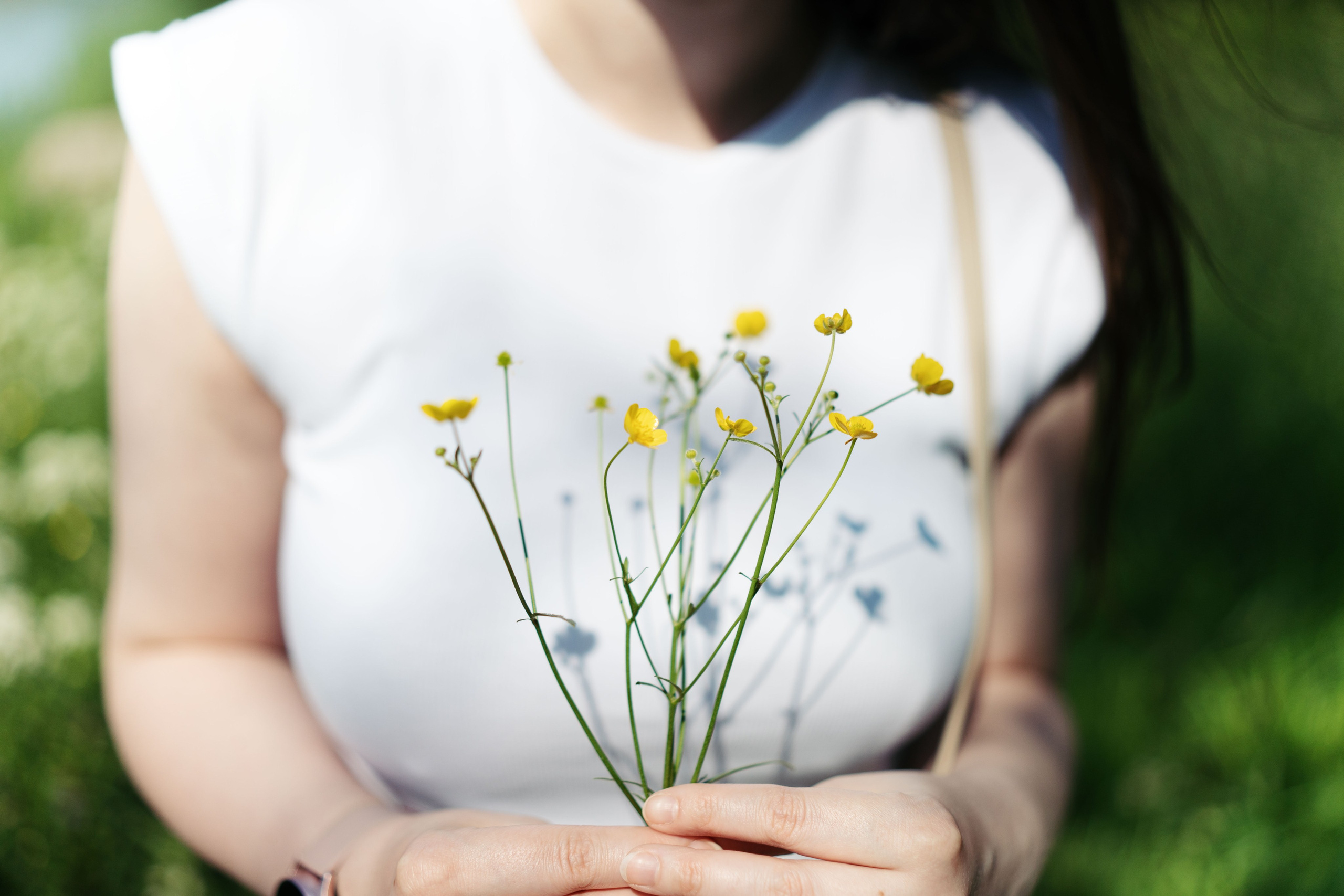 Парк. Баев Дмитрий — фотограф из СПБ