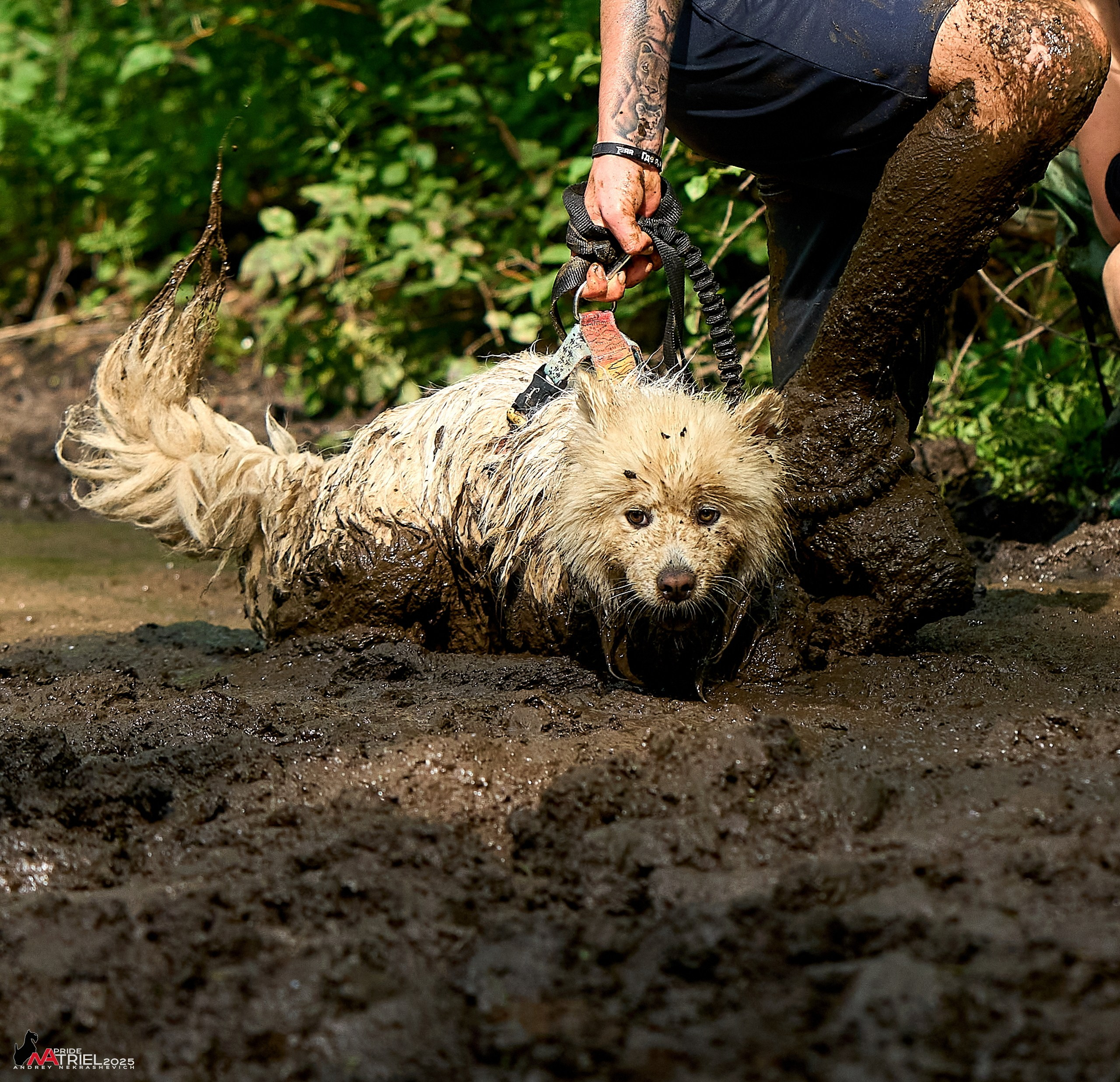 Russian Extreme Dog Trail — 2025