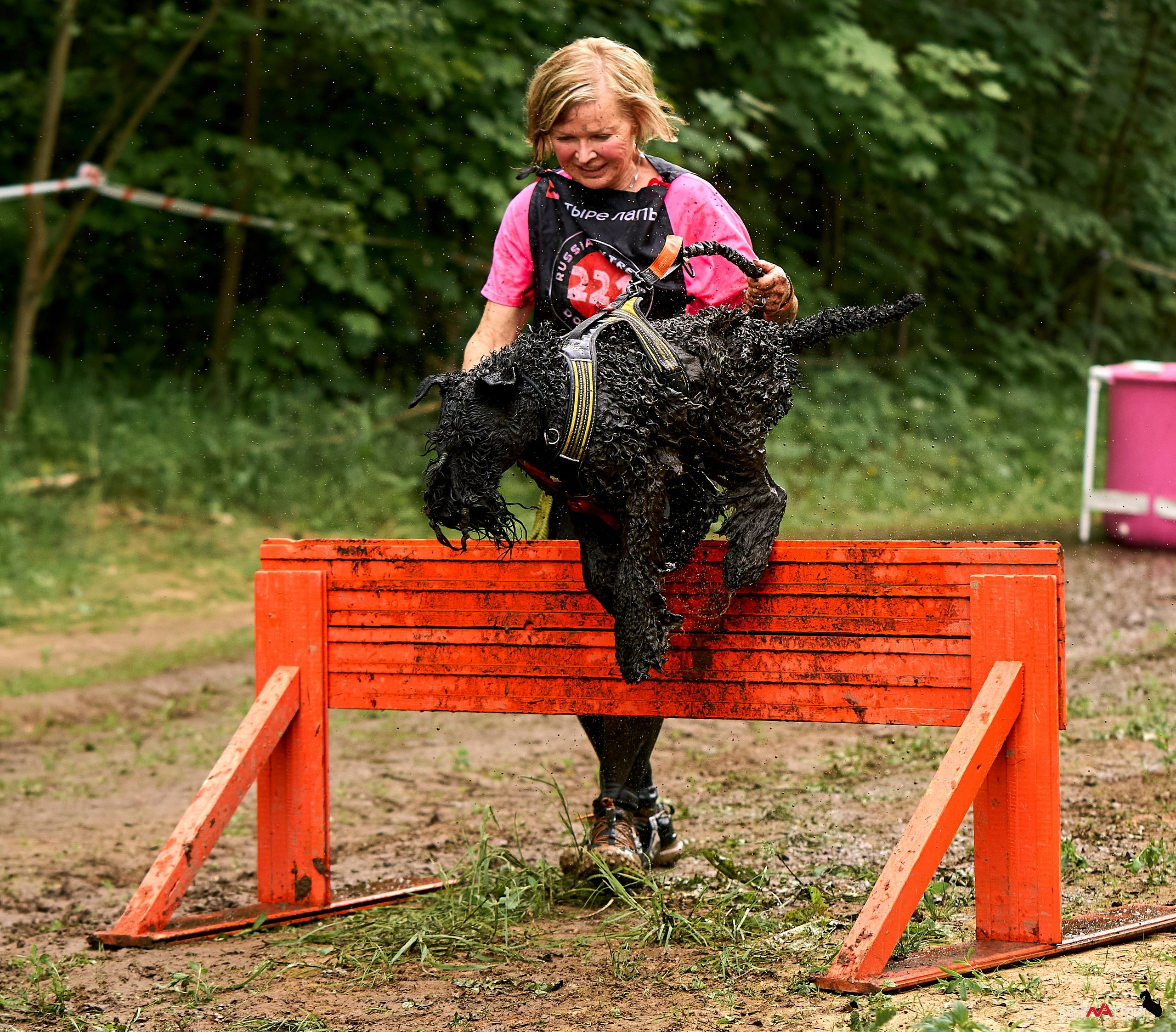 Russian Extreme Dog Trail — 2025