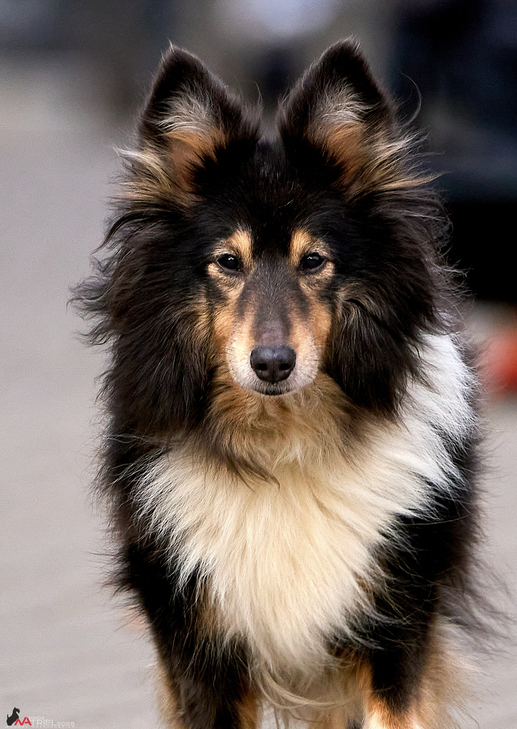 Фотопрогулка "вокруг дома"