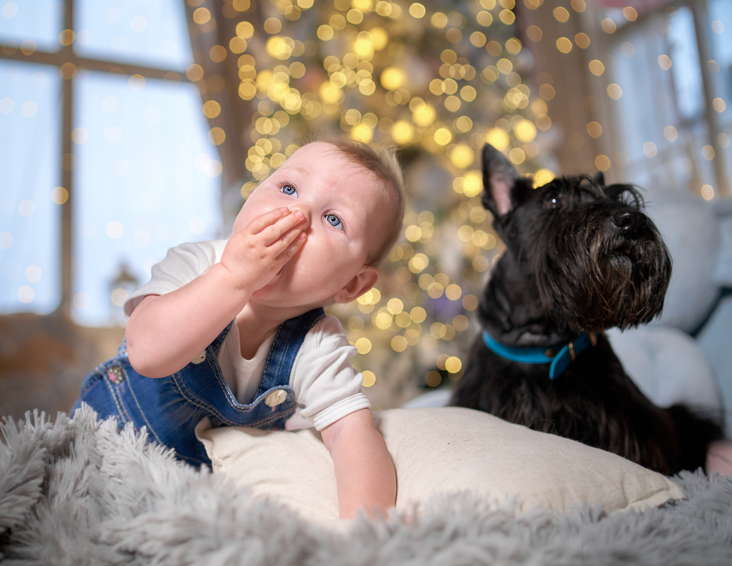 Люди и собаки в студии — галерея NATRIEL