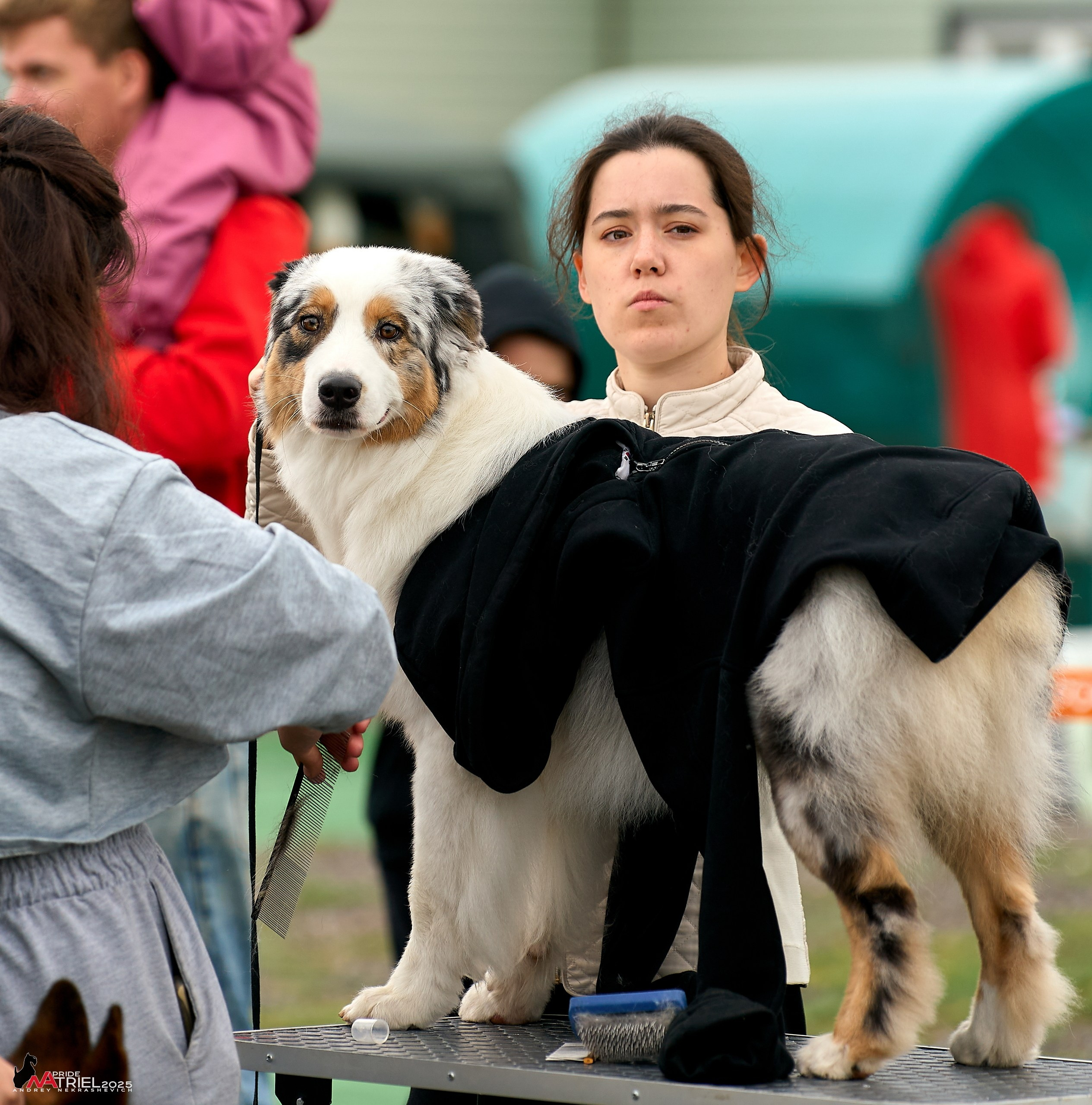 Репортаж с выставки собак