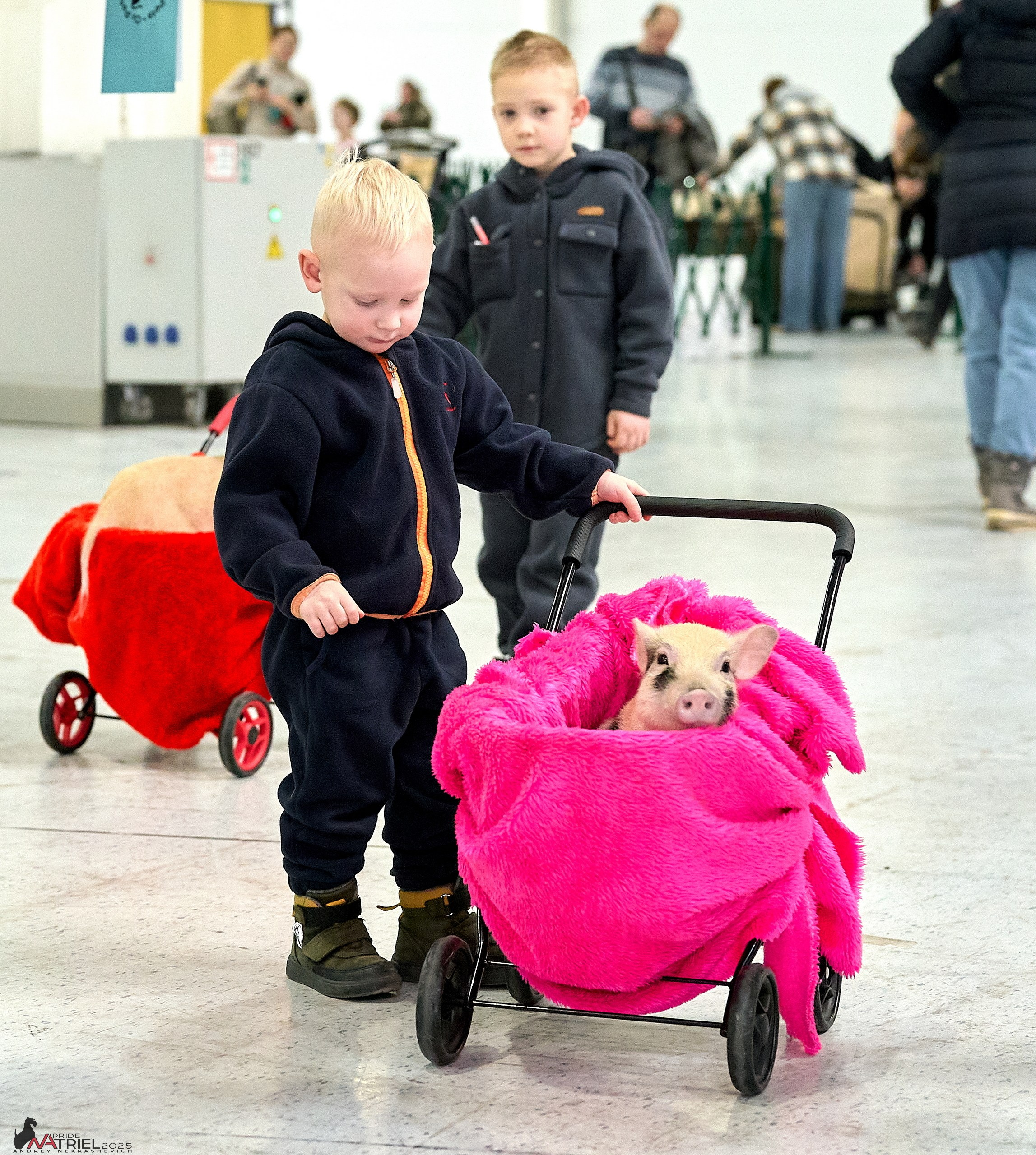 Репортаж с ЗООФЕСТ в Крокусе