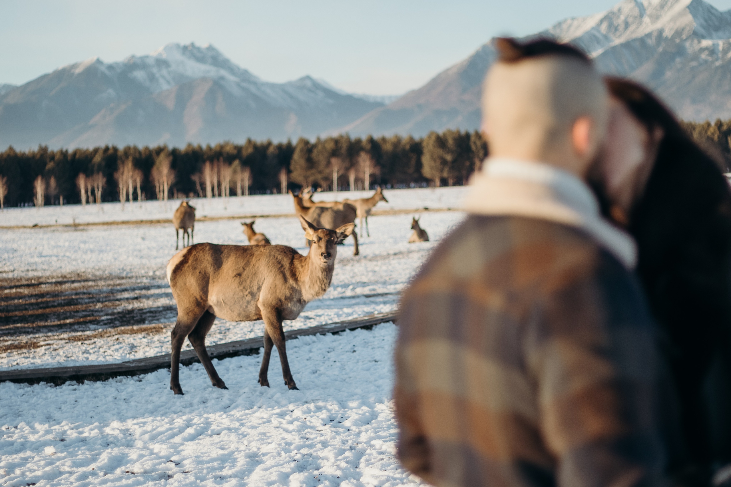 Павел и Анна. Фотограф Татьяна Ступина Иркутск
