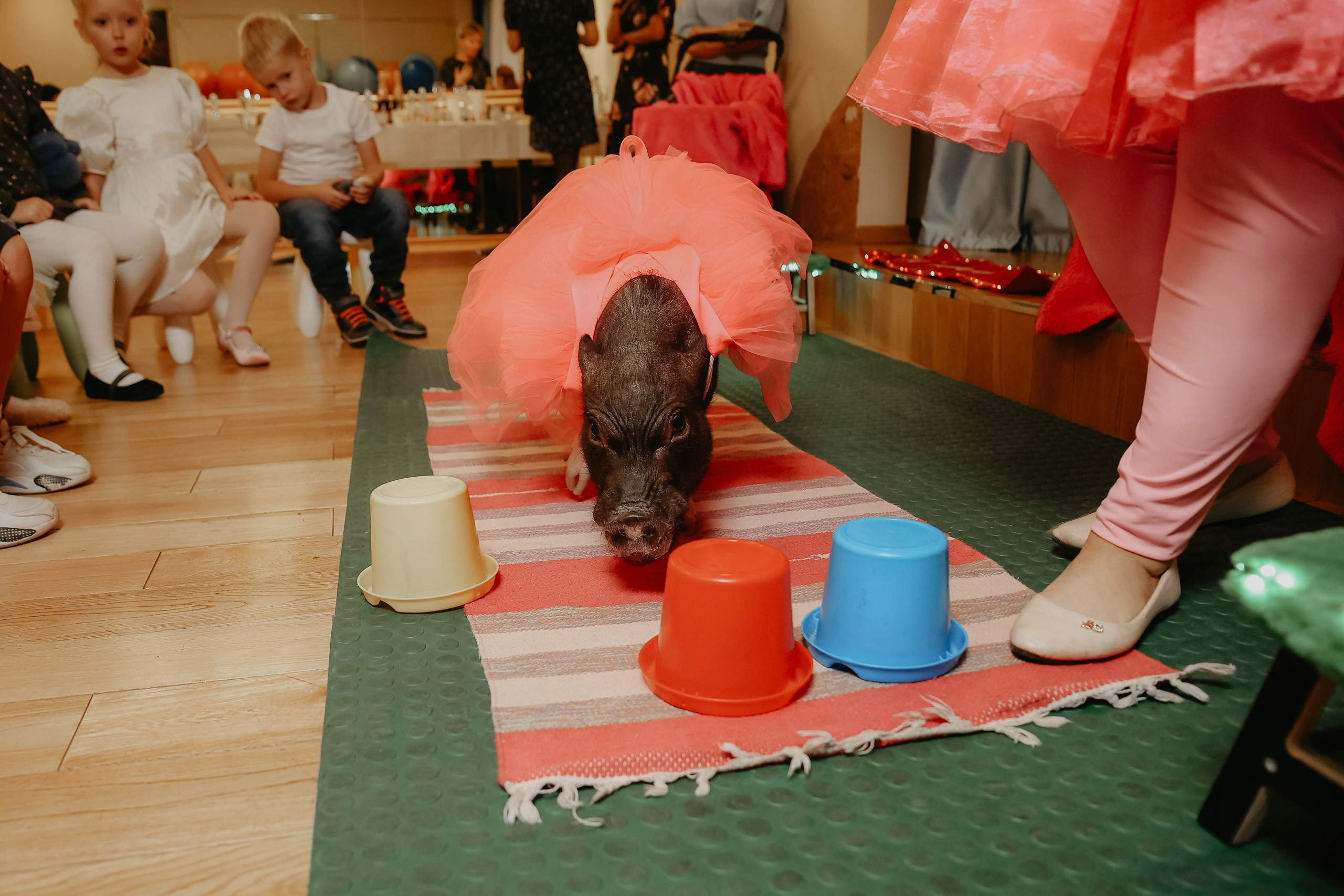 Белле 5 лет. Фотограф в Москве и любой точке земного шара Алёна Вялова (Чулкова)