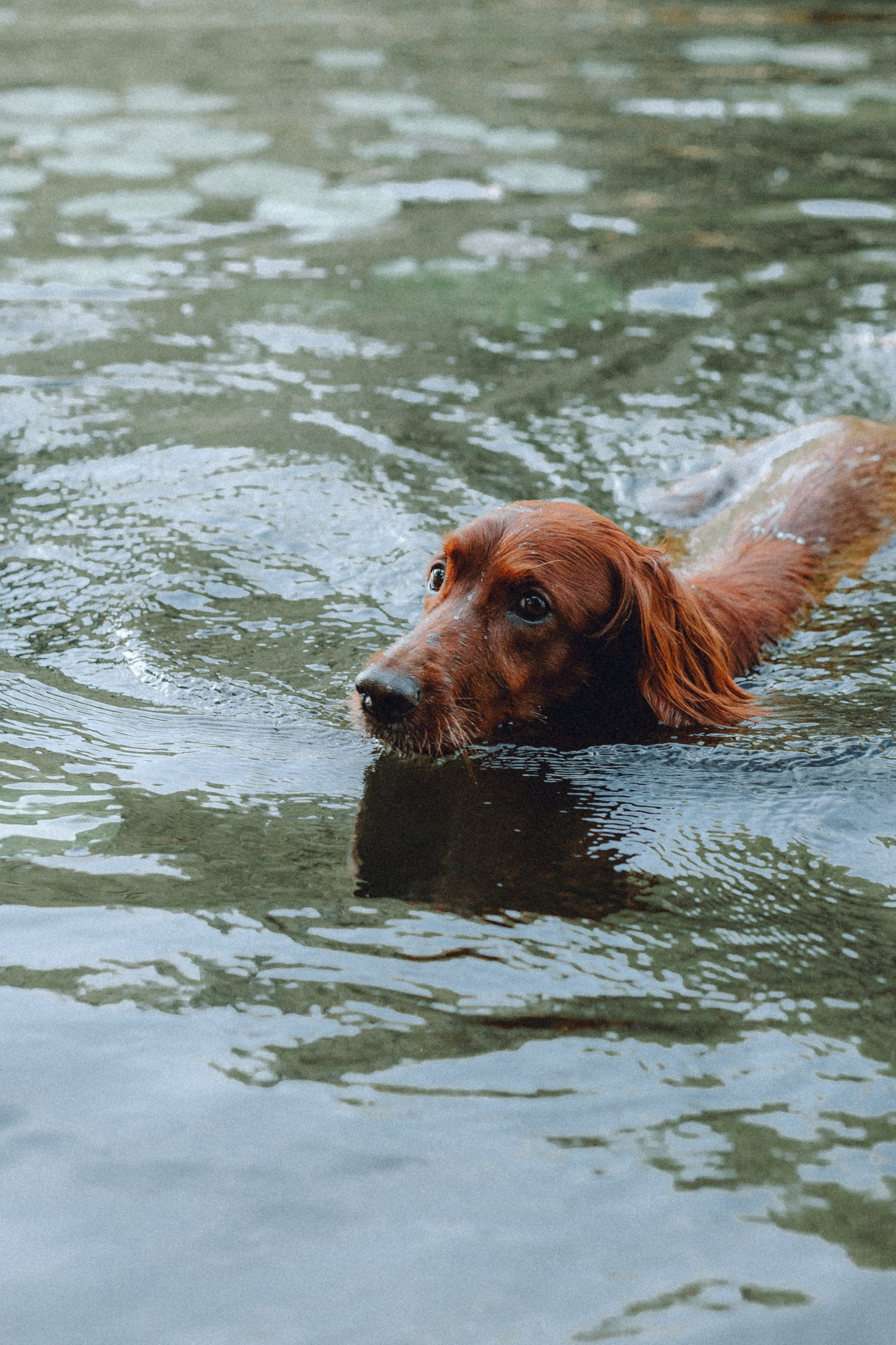 Маша и Джерри
