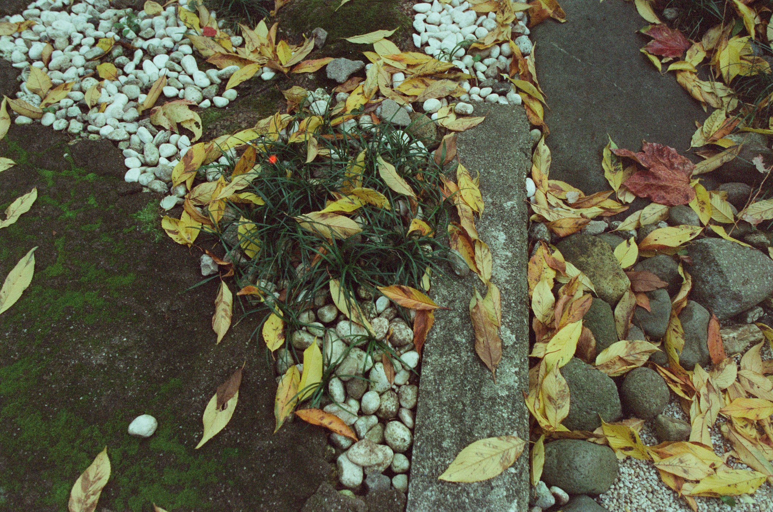 Out of noise // japan, kanazawa. EVER EXPOSED