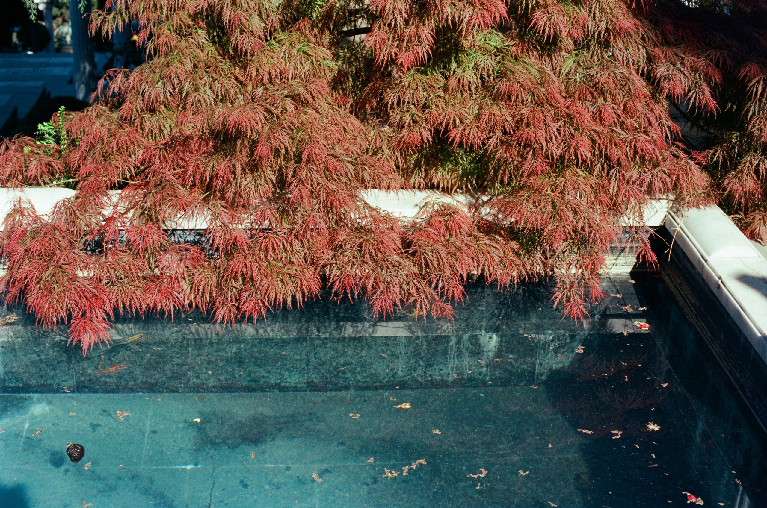 Follow you // ukraine, crimea IV. EVER EXPOSED