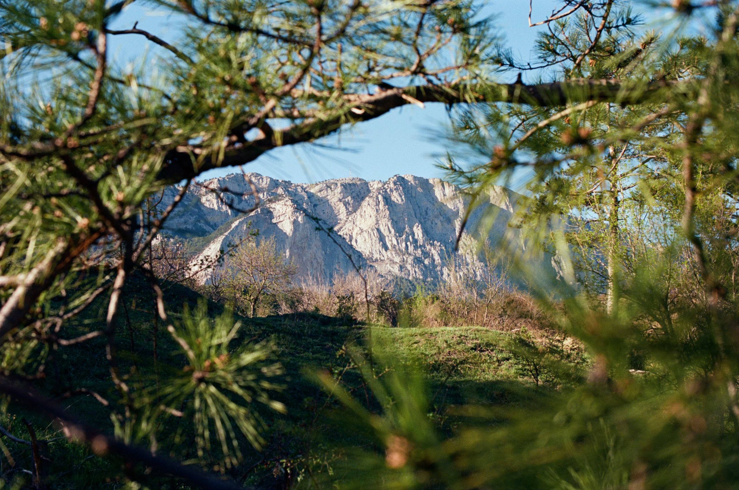 Follow you // ukraine, crimea II. EVER EXPOSED