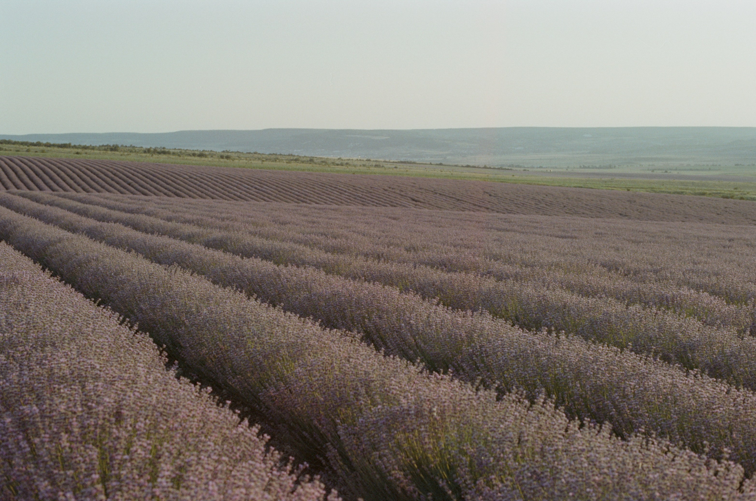 Silent running // ukraine, crimea V. EVER EXPOSED