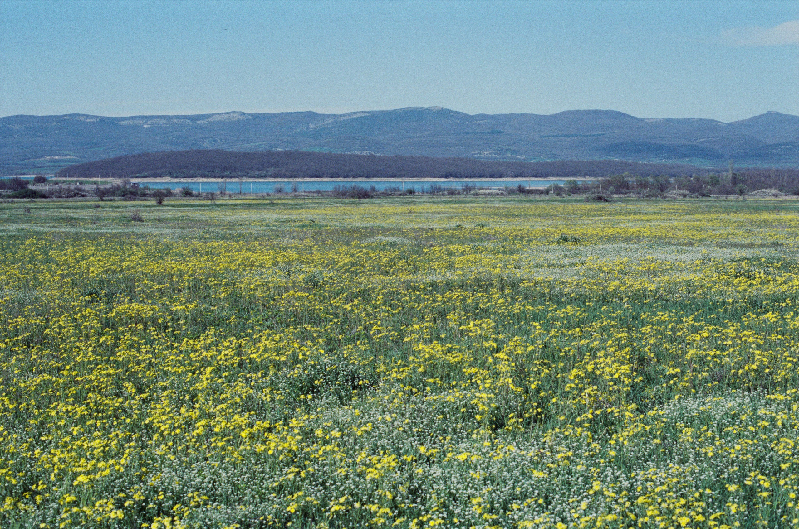 Some kind of madness // ukraine, crimea III. EVER EXPOSED