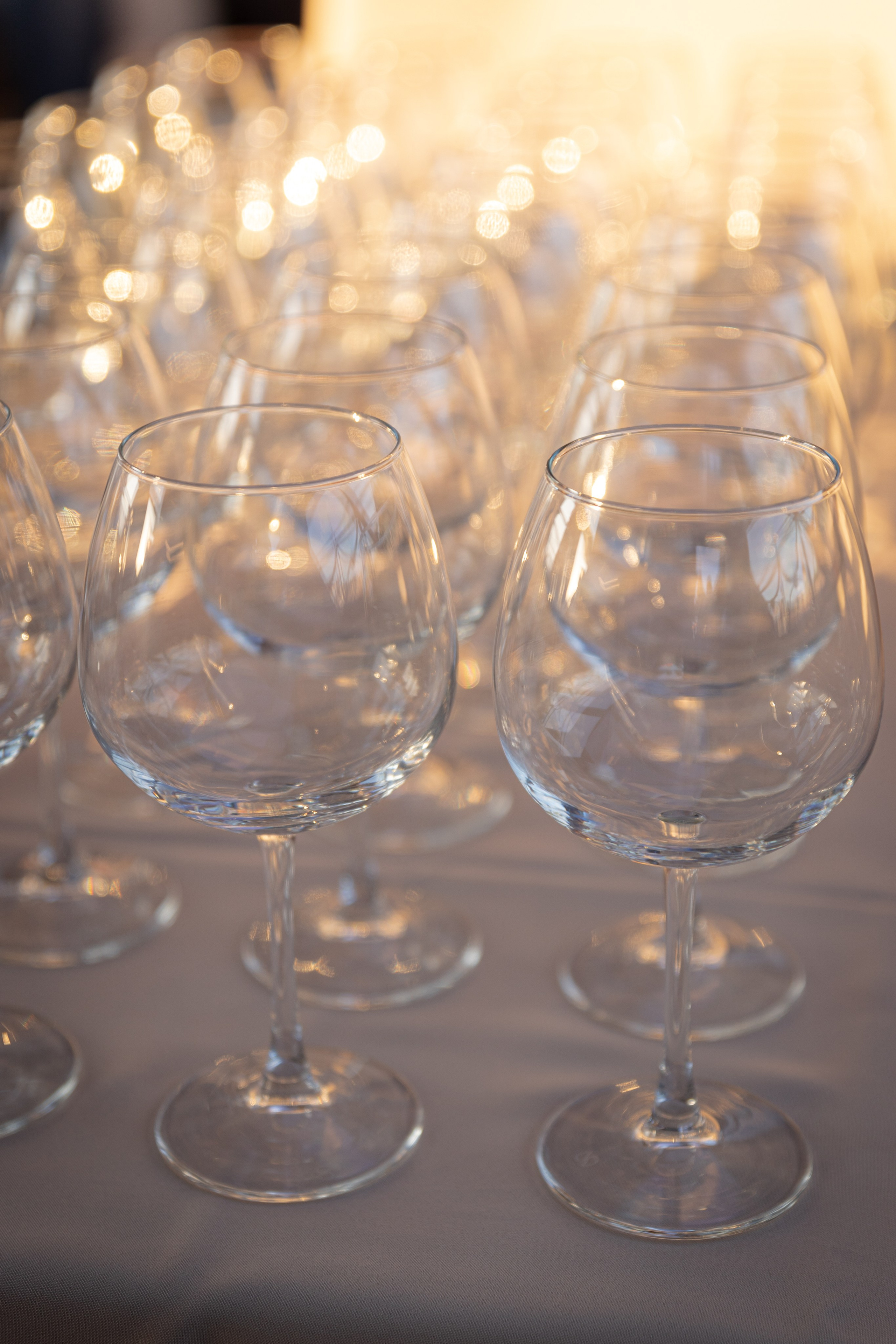 ПМЭФ'24. Ваш фотограф — Александра Андрущенко