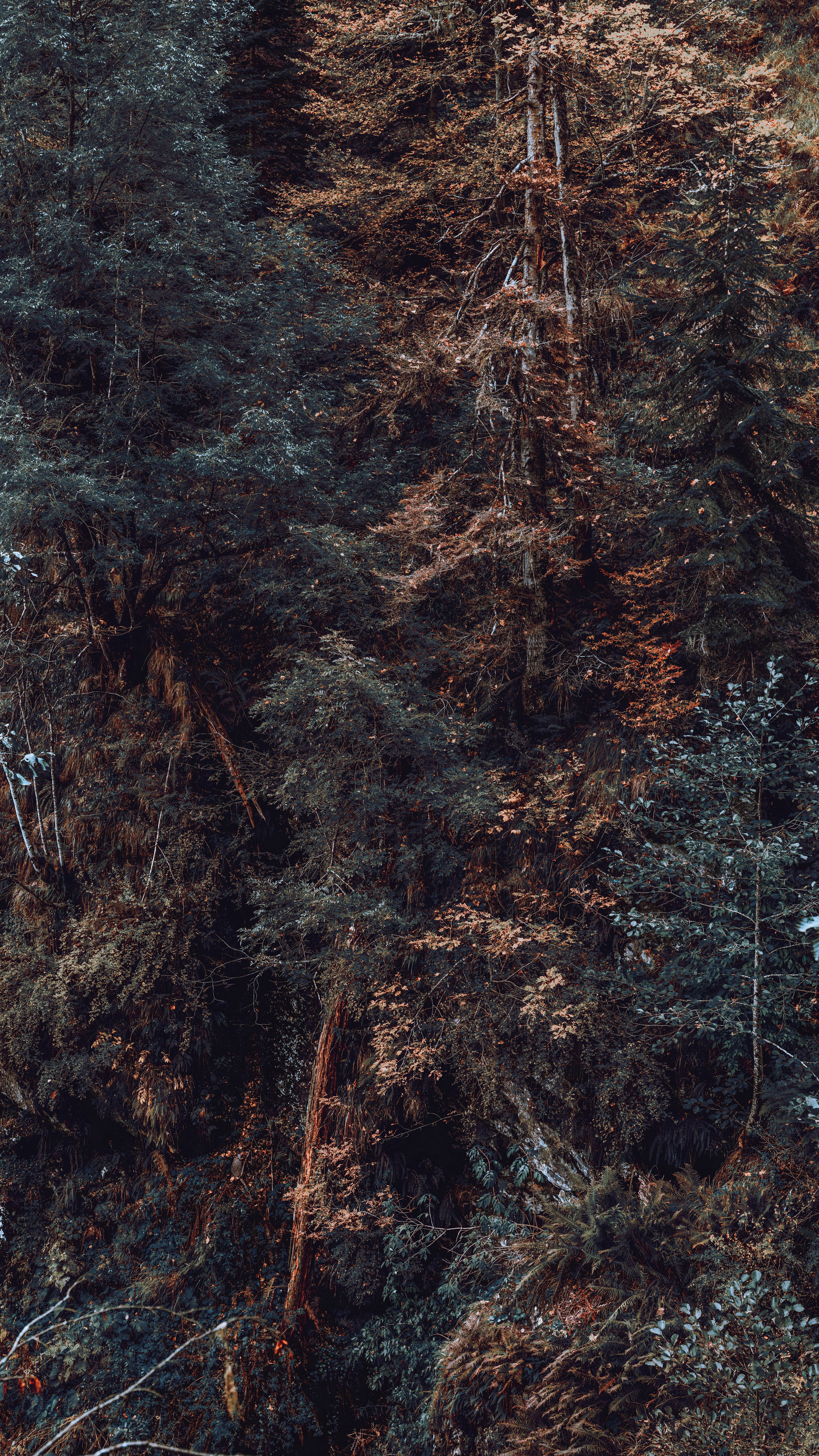 MOUNTAINS. Фотограф Шумков Дмитрий Snm981