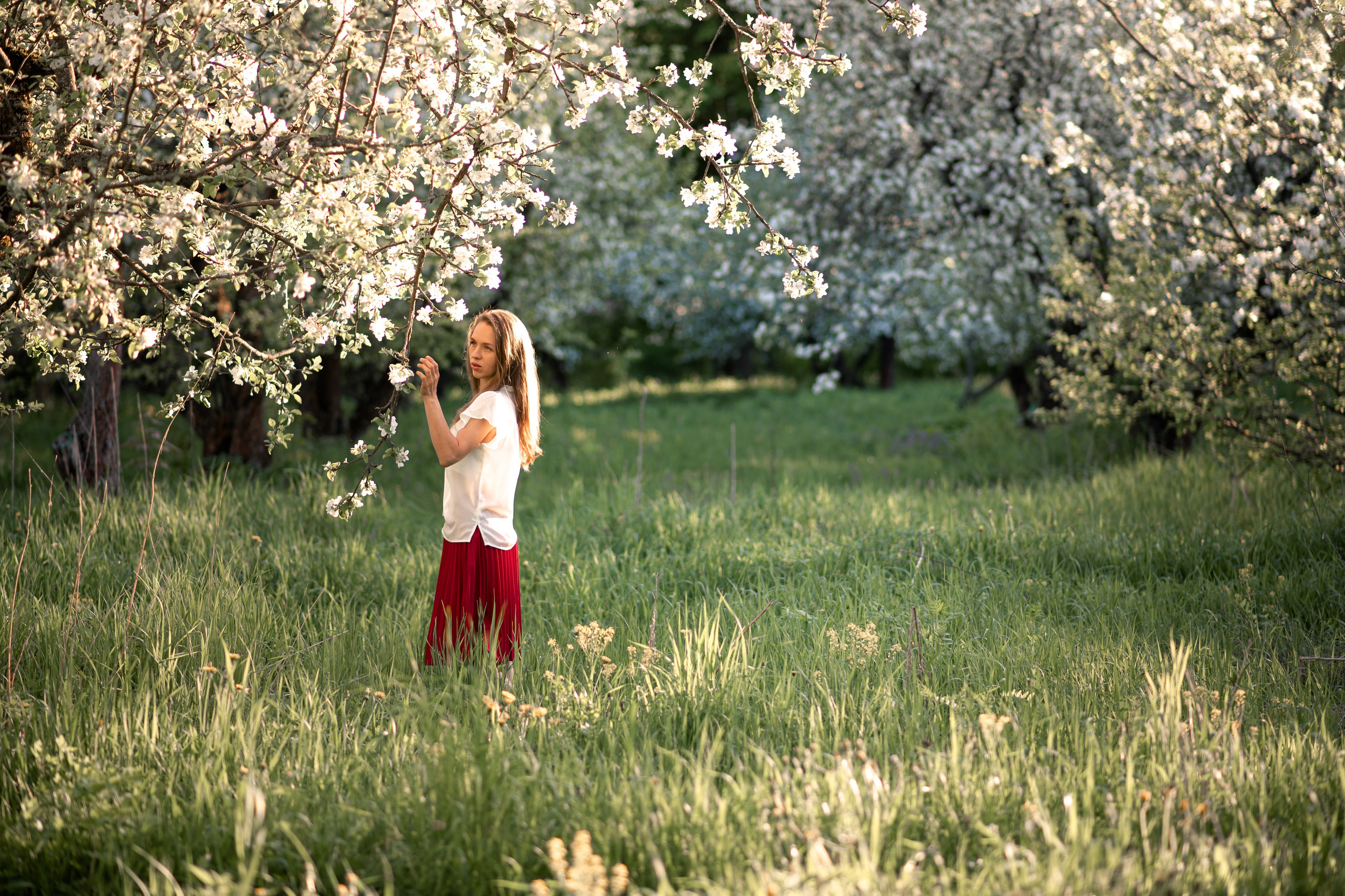 Семейная фотосессия в цветении. Ясная Поляна. Семейный и детский фотограф в Туле Светлана Воронкова