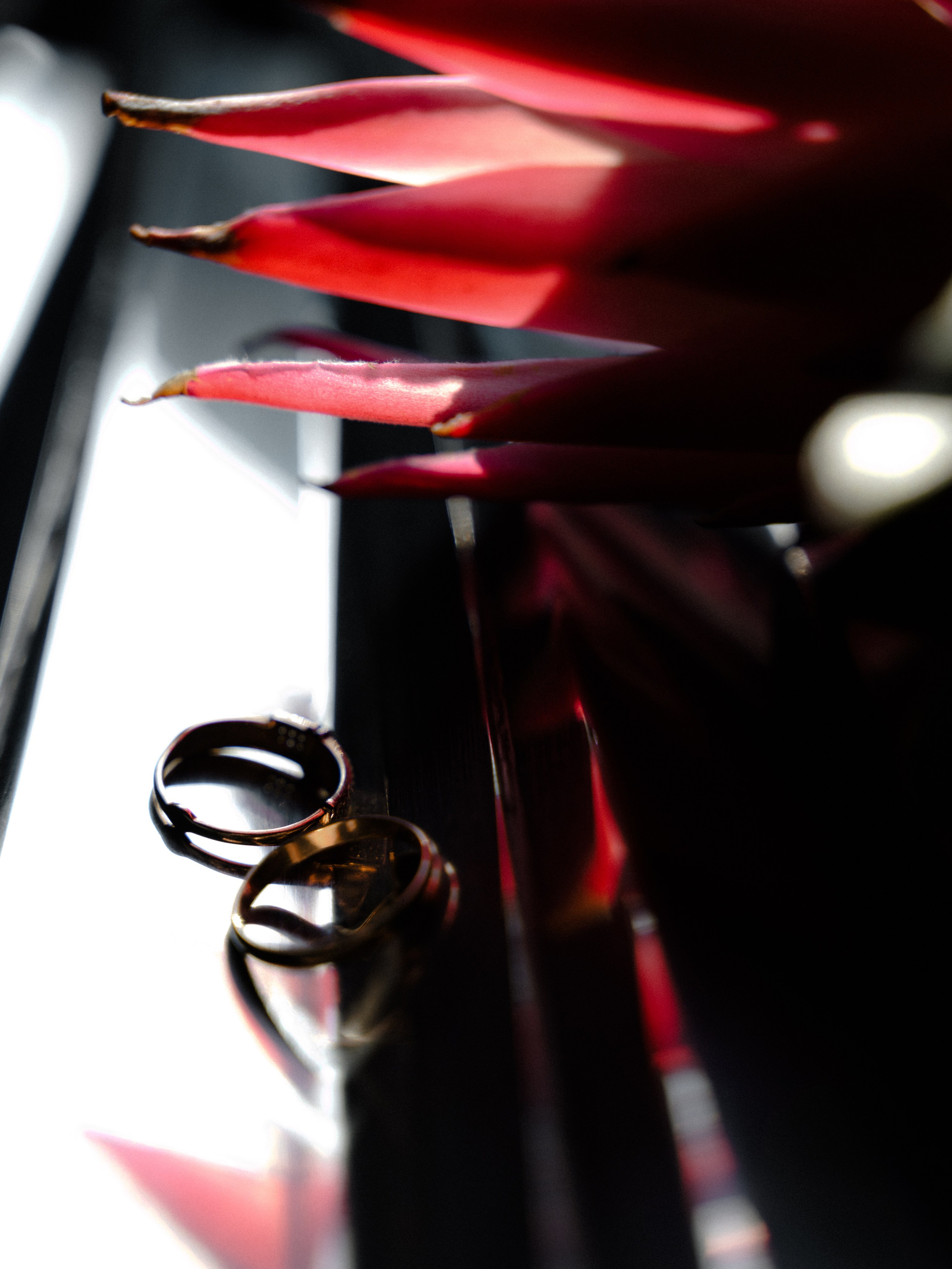 Салон свадебных платьев BrideWedd. СВАДЕБНЫЙ ФОТОГРАФ Яна Арбан Йошкар-Ола/Казань/Москва/Санкт-Петербург