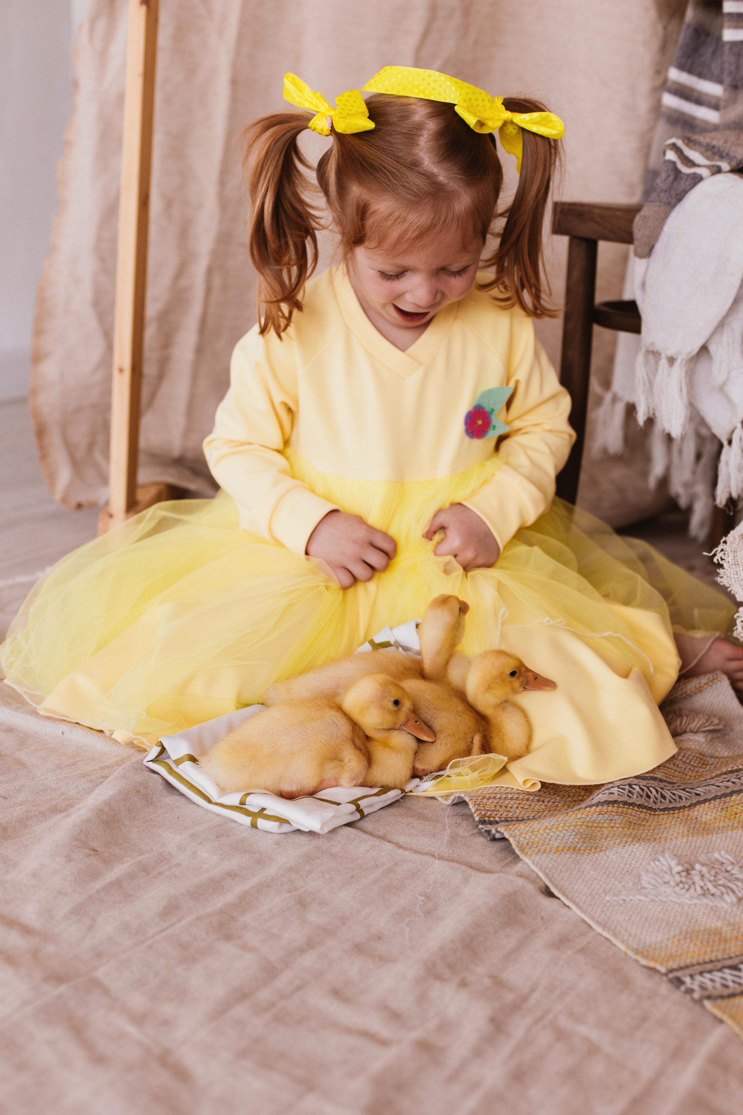 Утята. Креатор Ольга Яш