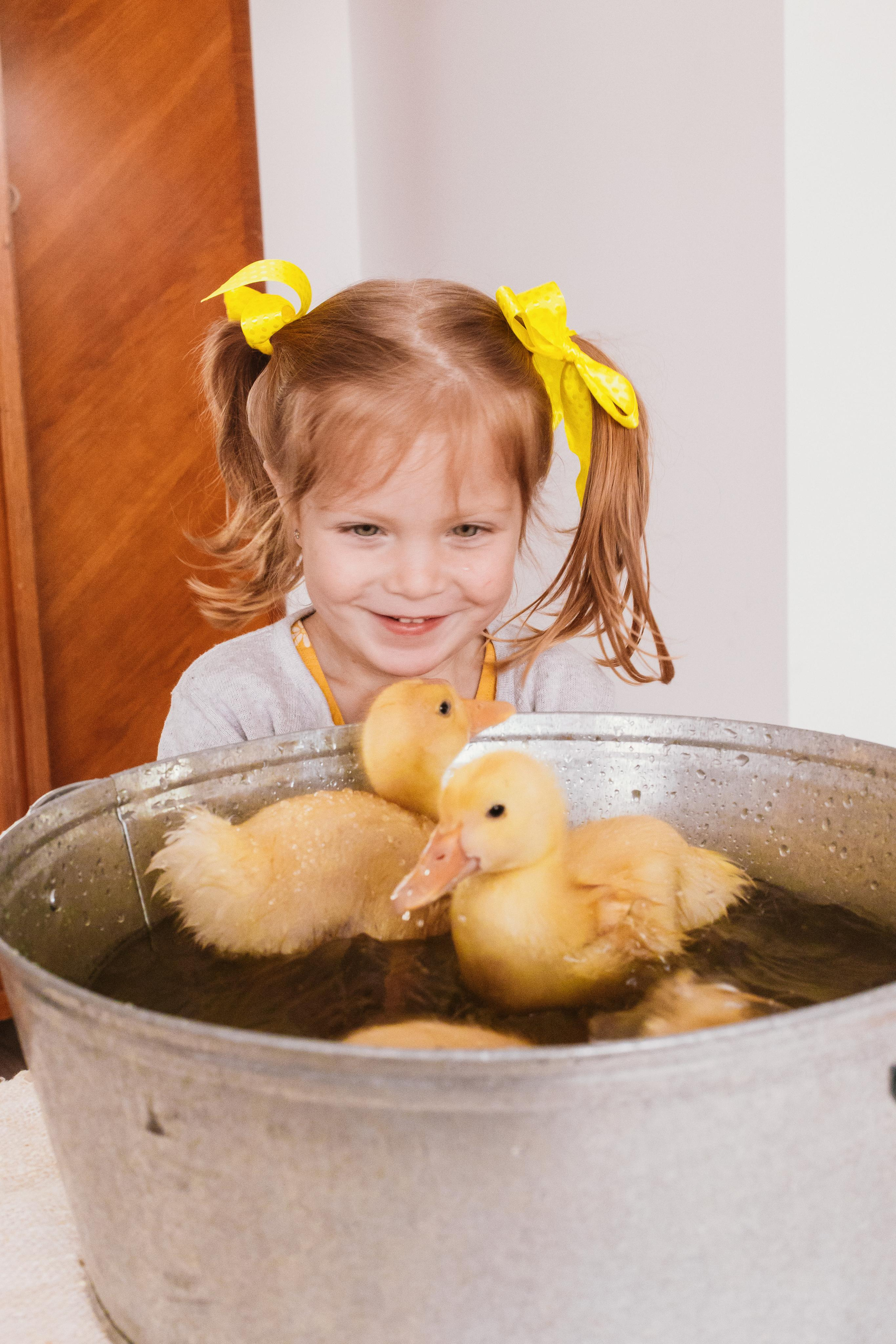 Весна и утята. Креатор Ольга Яш