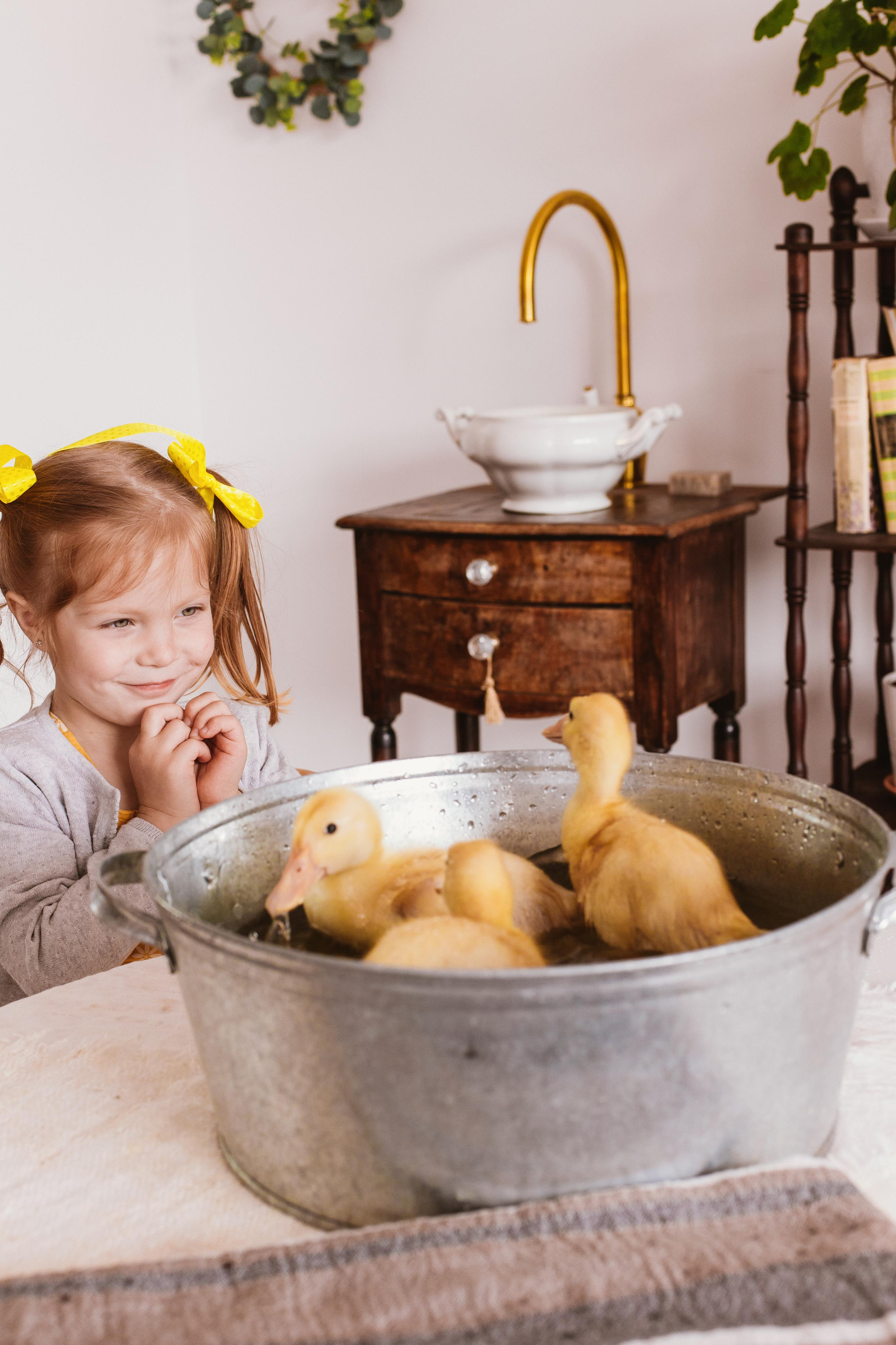 Утята. Креатор Ольга Яш