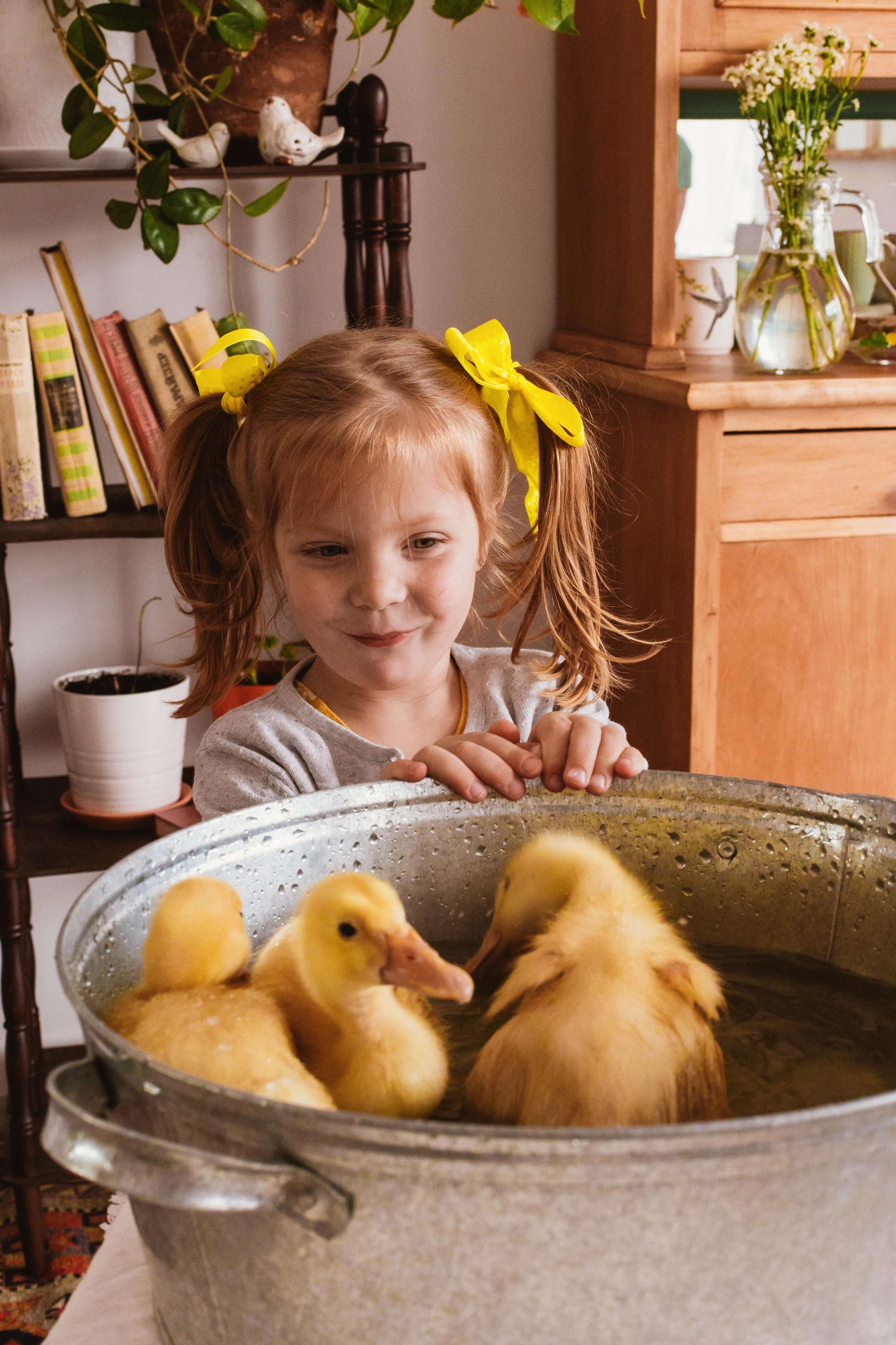 Утята. Креатор Ольга Яш