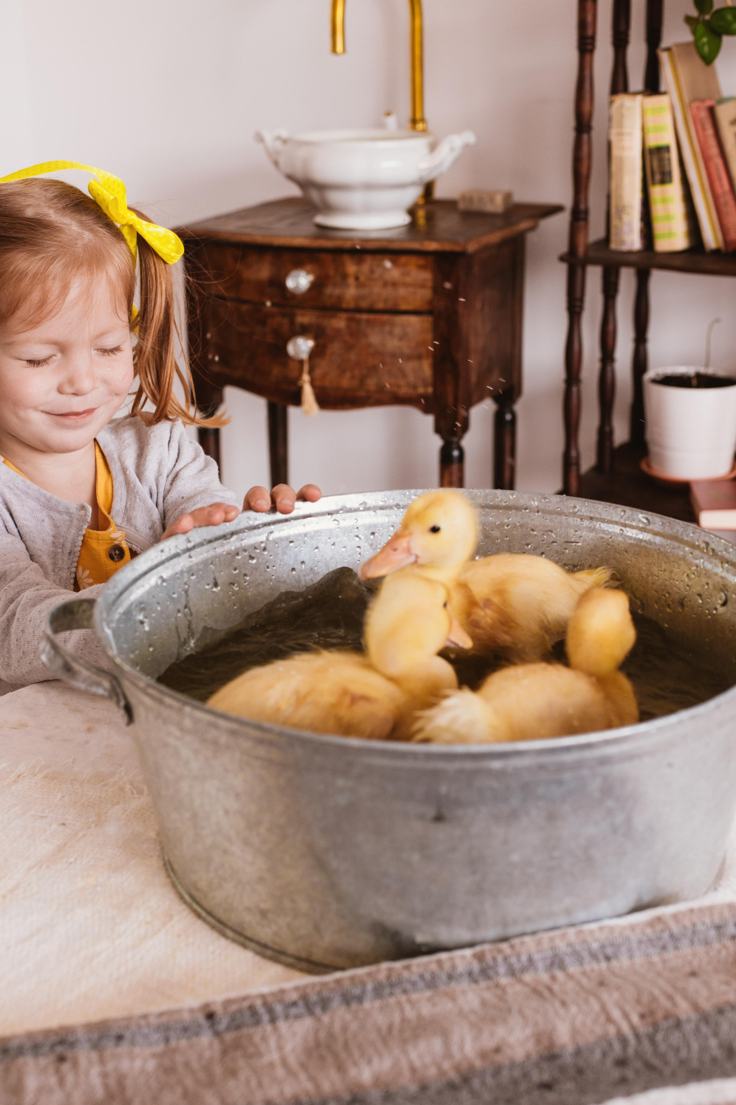 Весна и утята. Креатор Ольга Яш