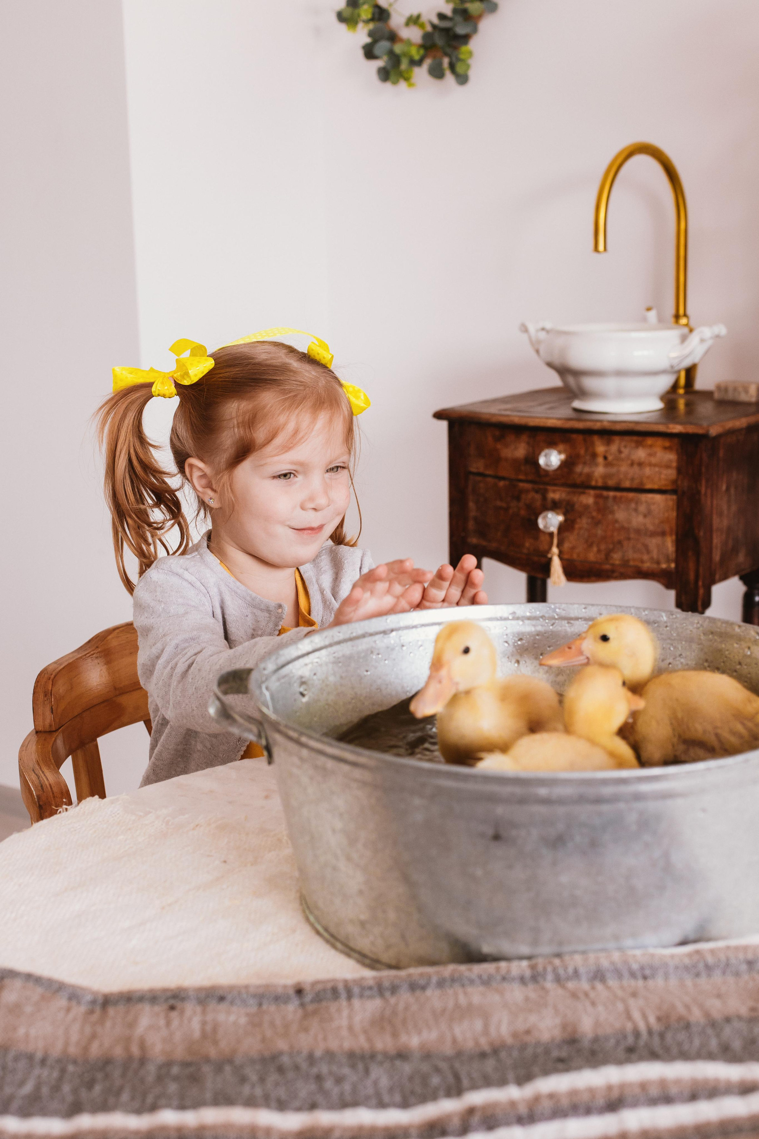 Утята. Креатор Ольга Яш