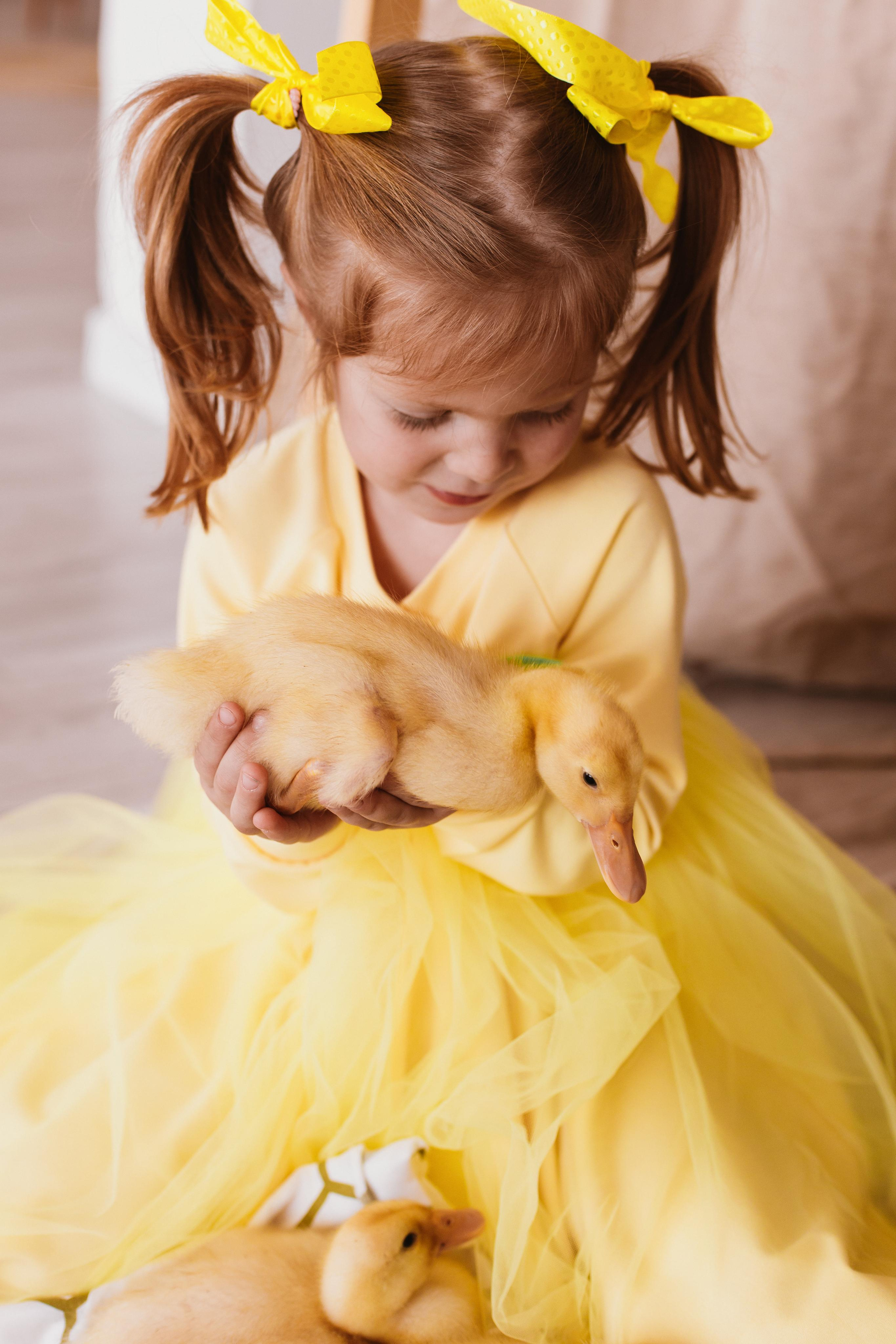 Утята. Креатор Ольга Яш