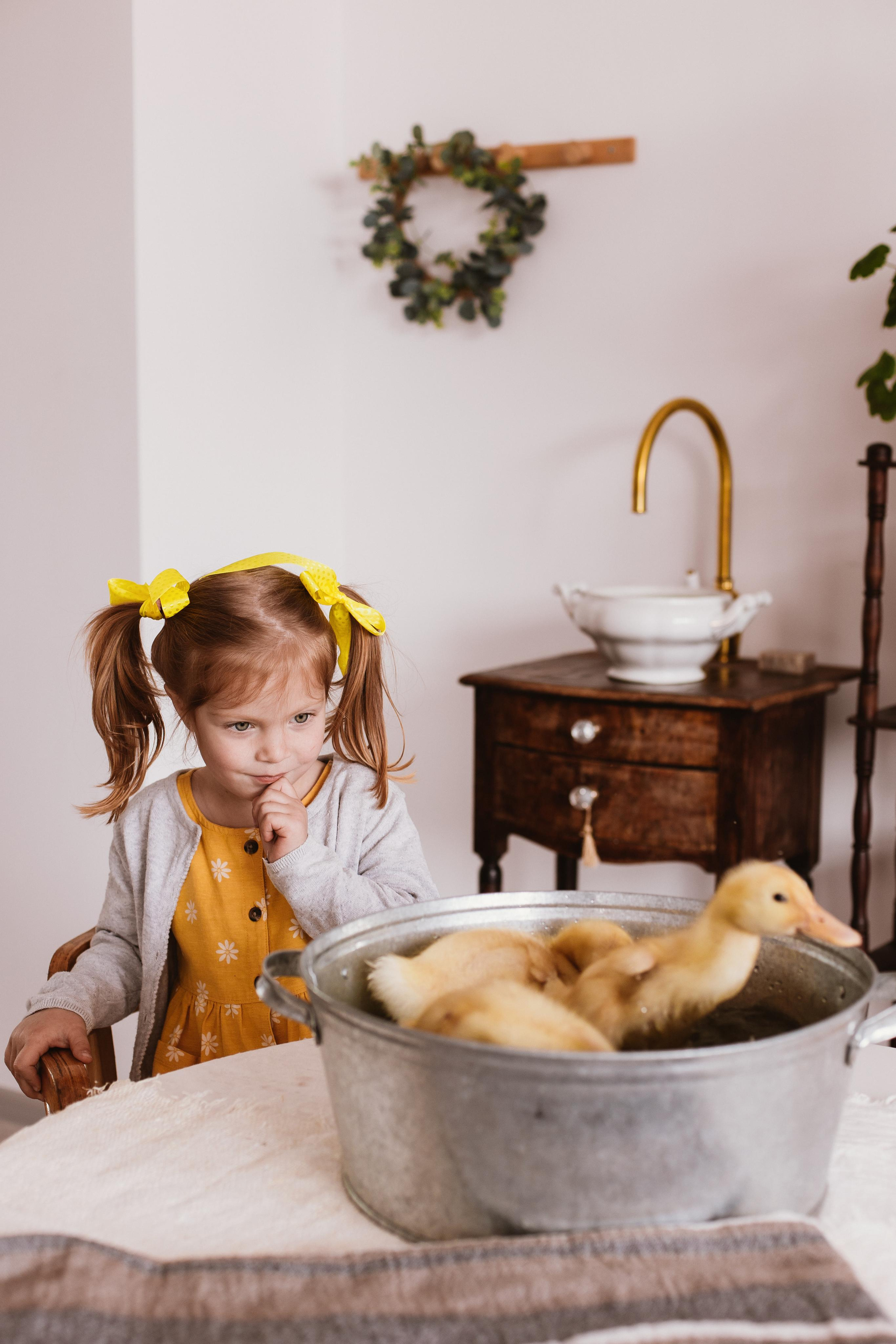 Весна и утята. Креатор Ольга Яш