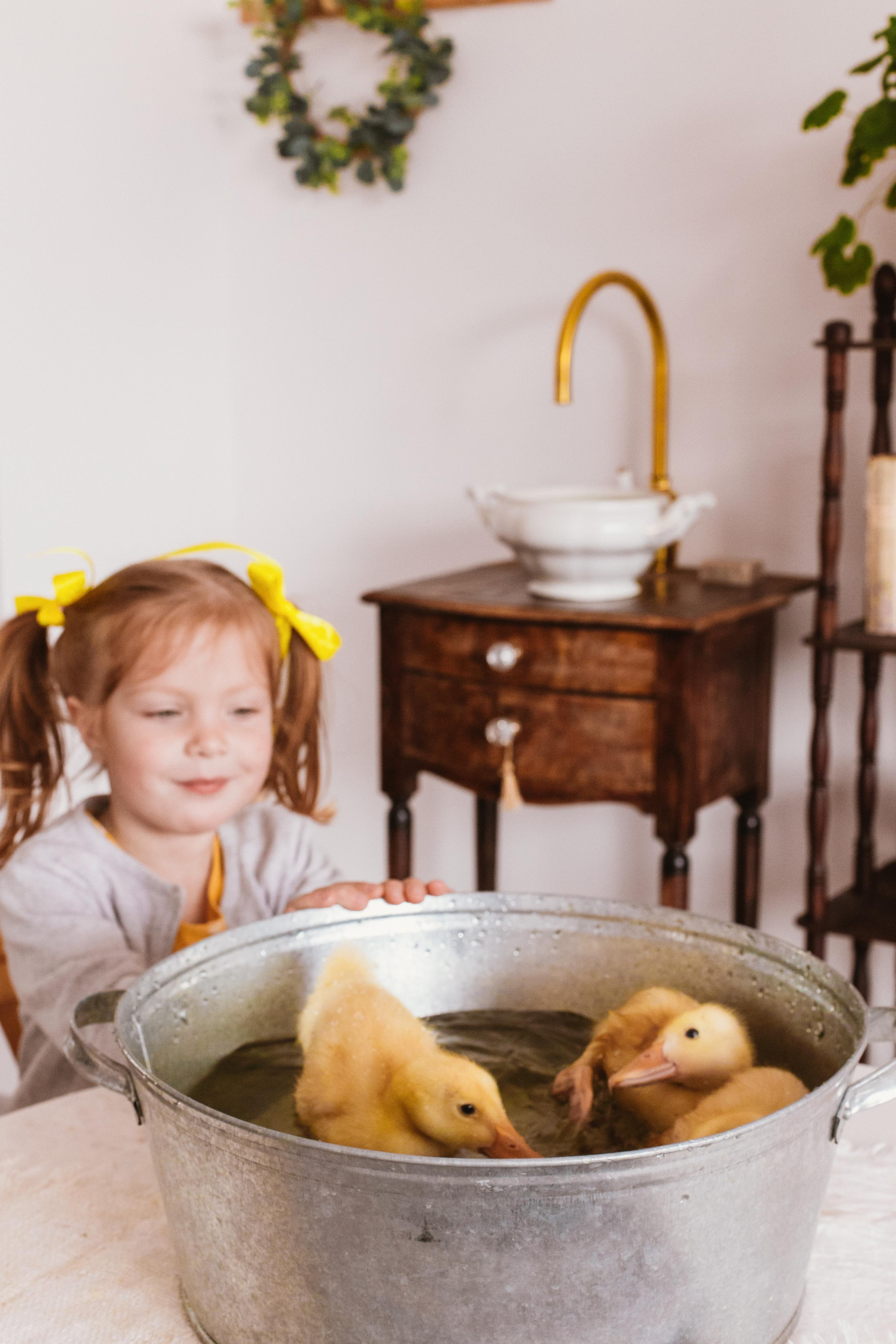 Утята. Креатор Ольга Яш