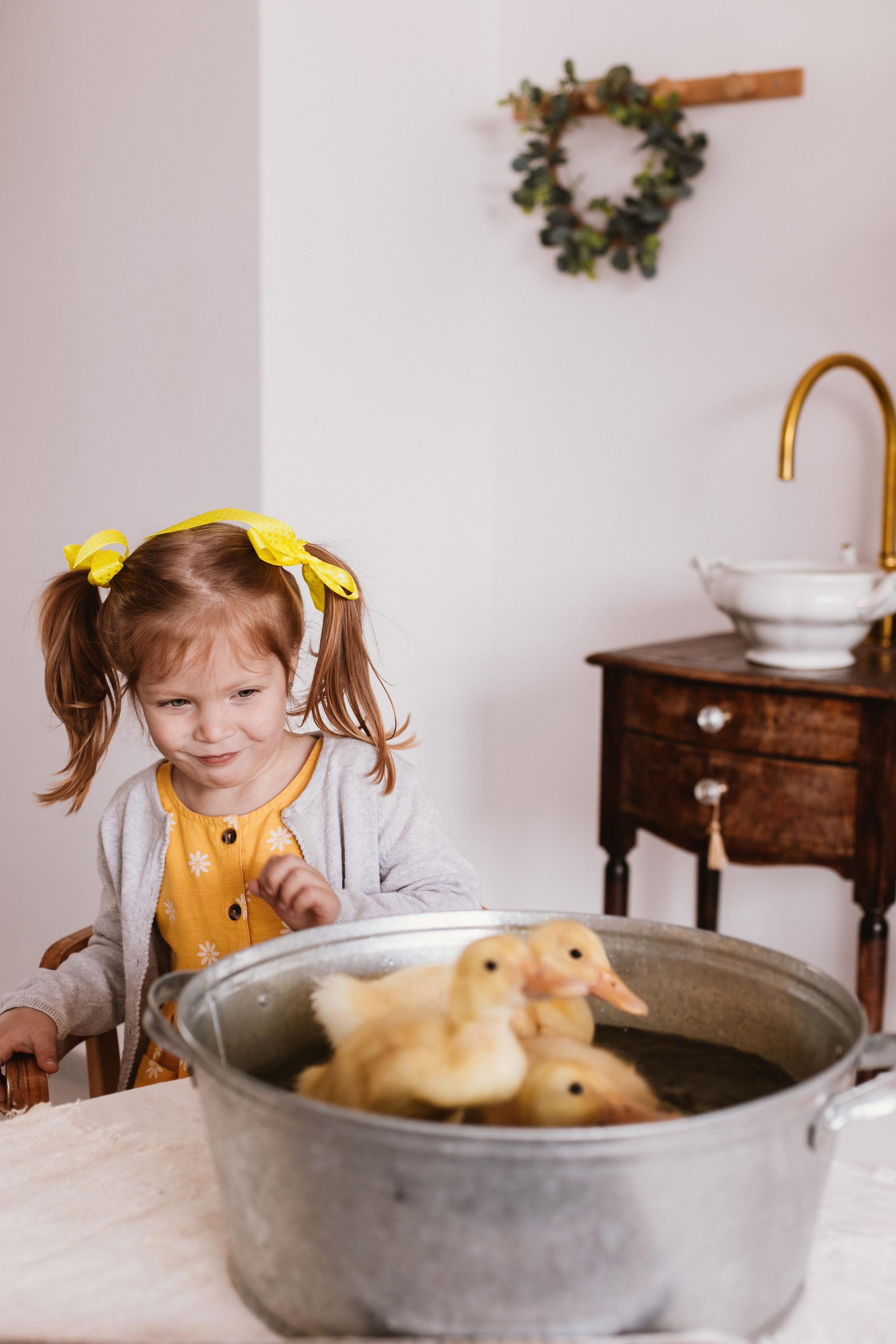 Утята. Креатор Ольга Яш