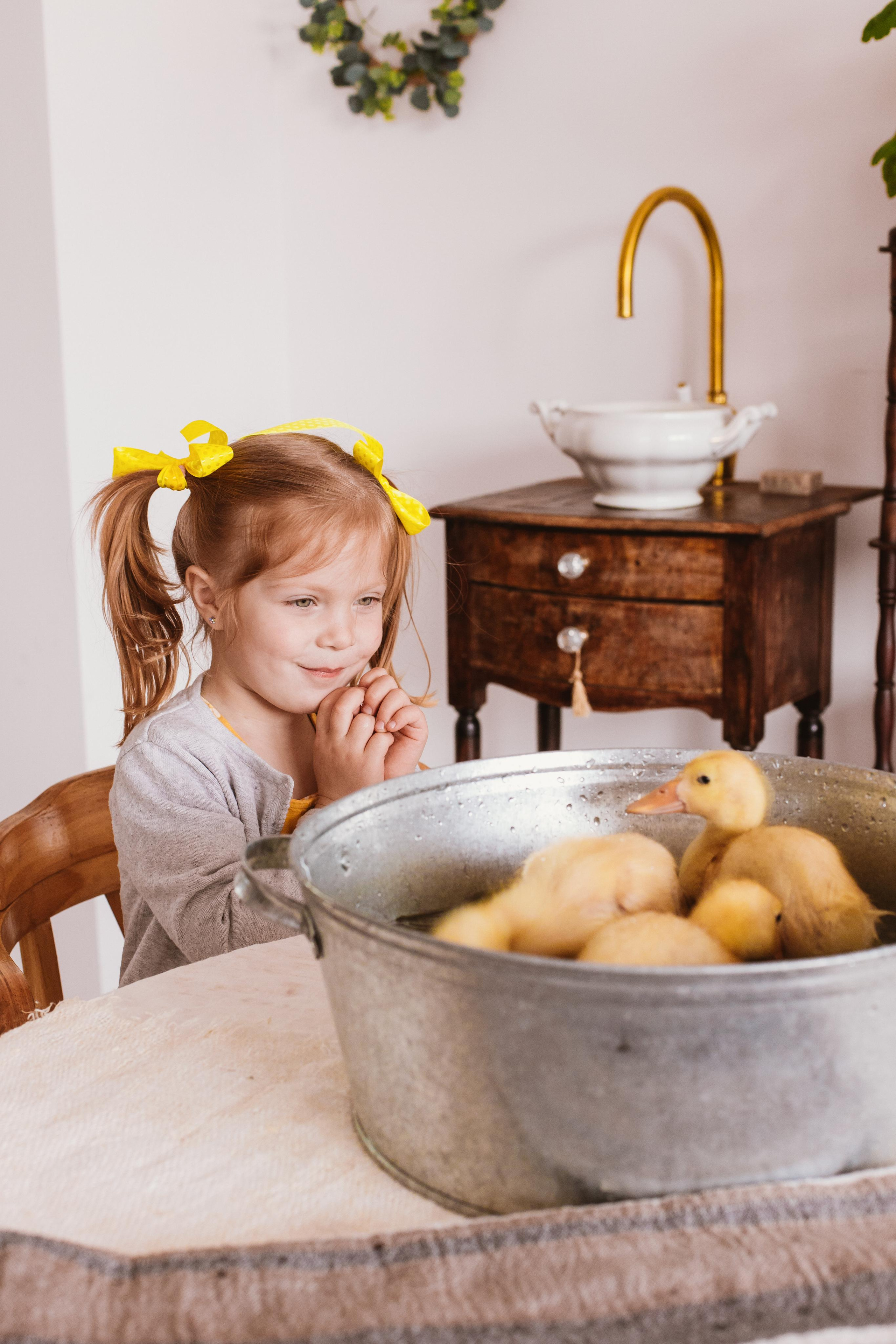 Утята. Креатор Ольга Яш