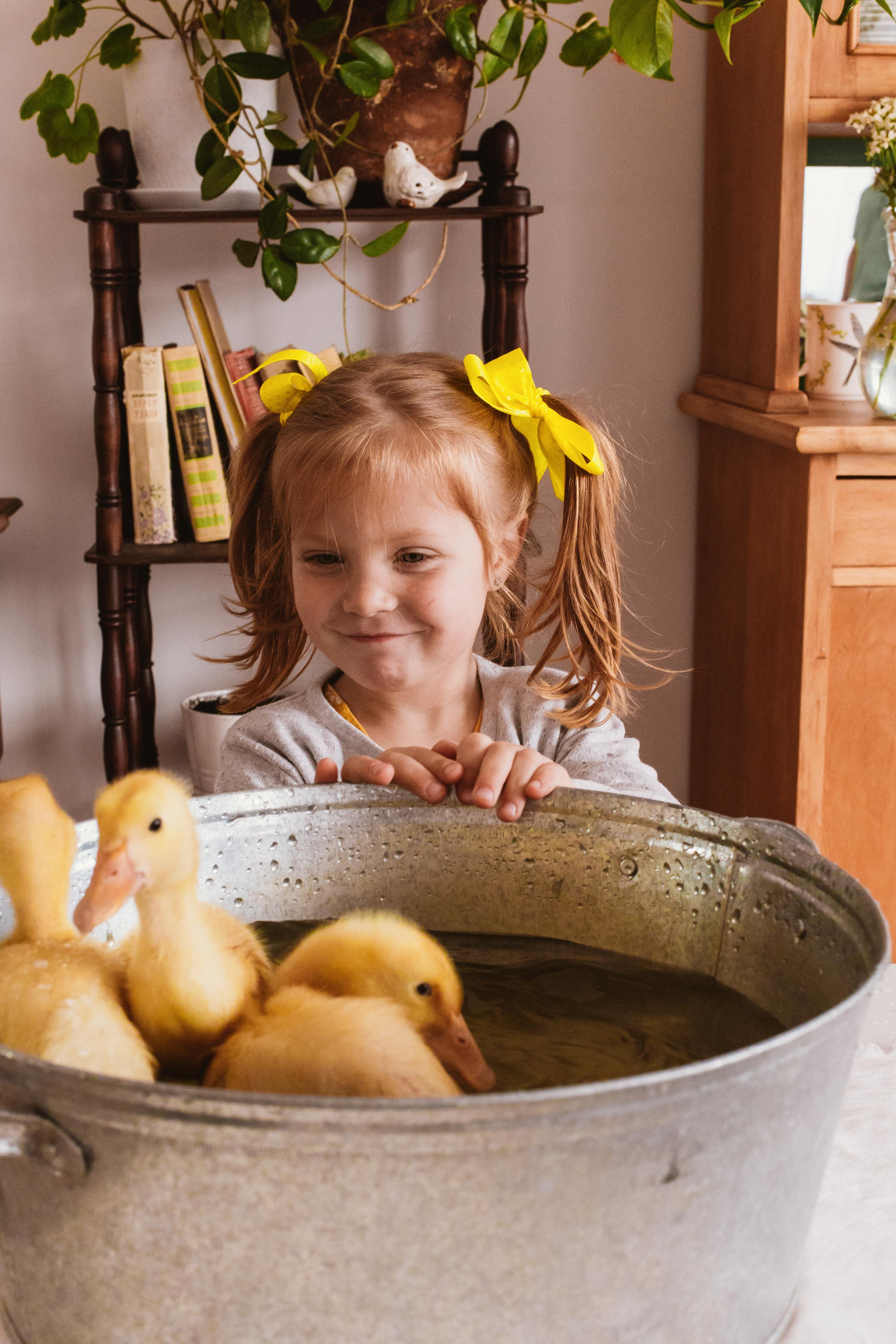 Утята. Креатор Ольга Яш